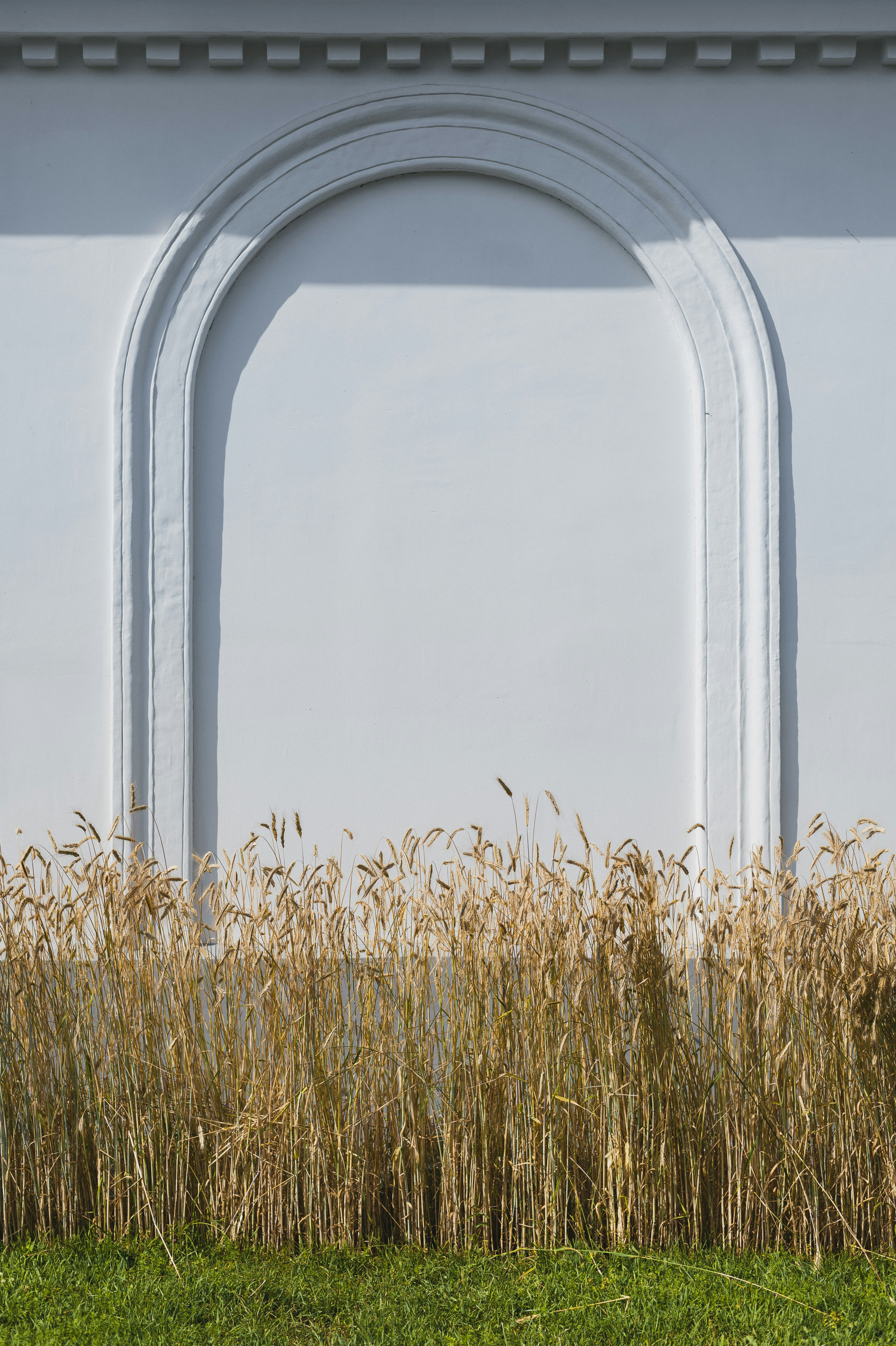 A wall with an arch and ears of wheat.