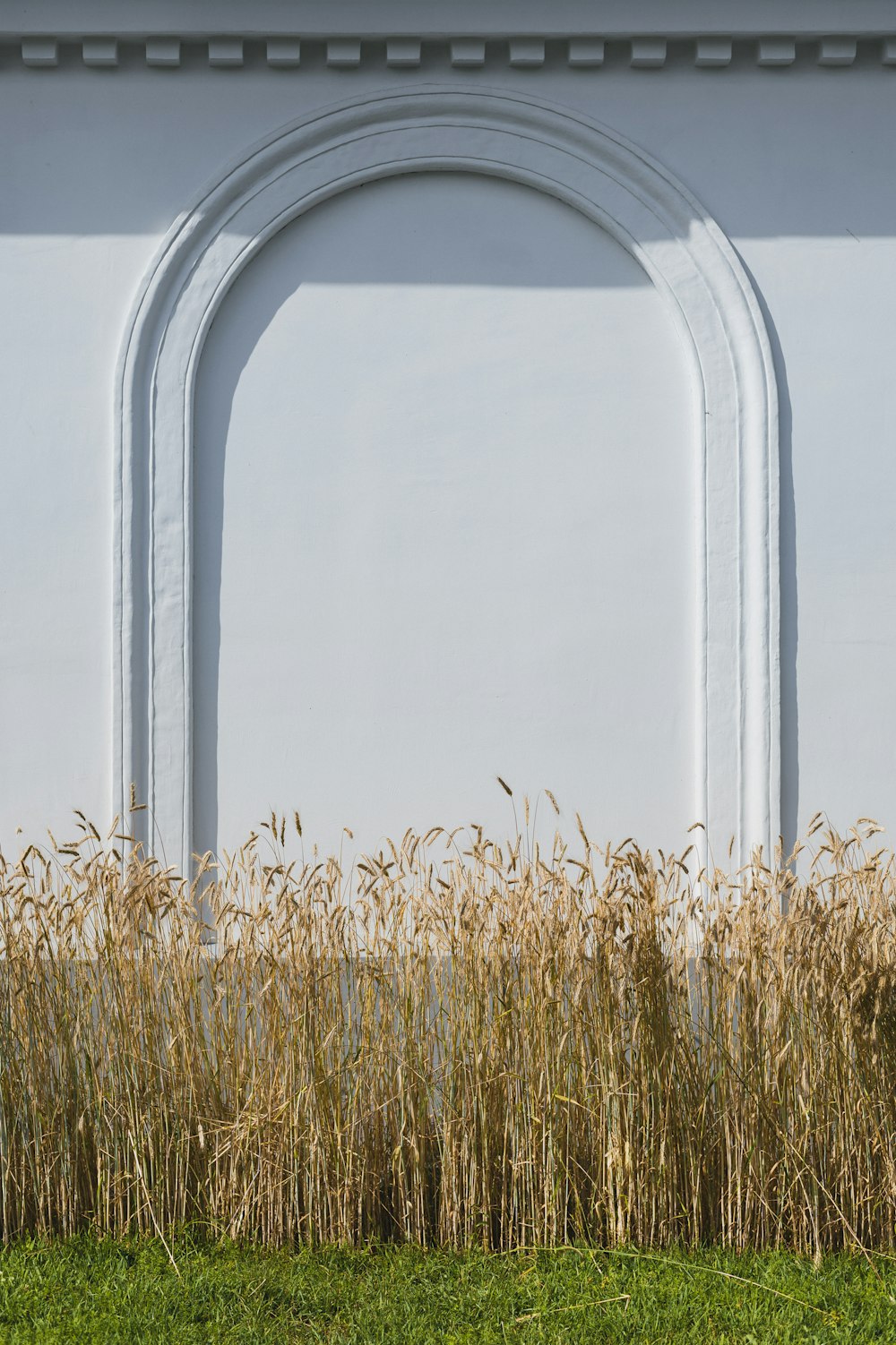 une grande structure blanche avec un champ d’herbe devant elle