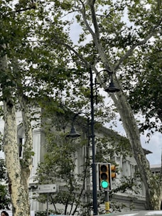 A street scene featuring a classical white building partially covered by large, leafy trees. There is a pedestrian traffic light showing green and a street lamp with two lanterns. A directional sign points to Beşiktaş.