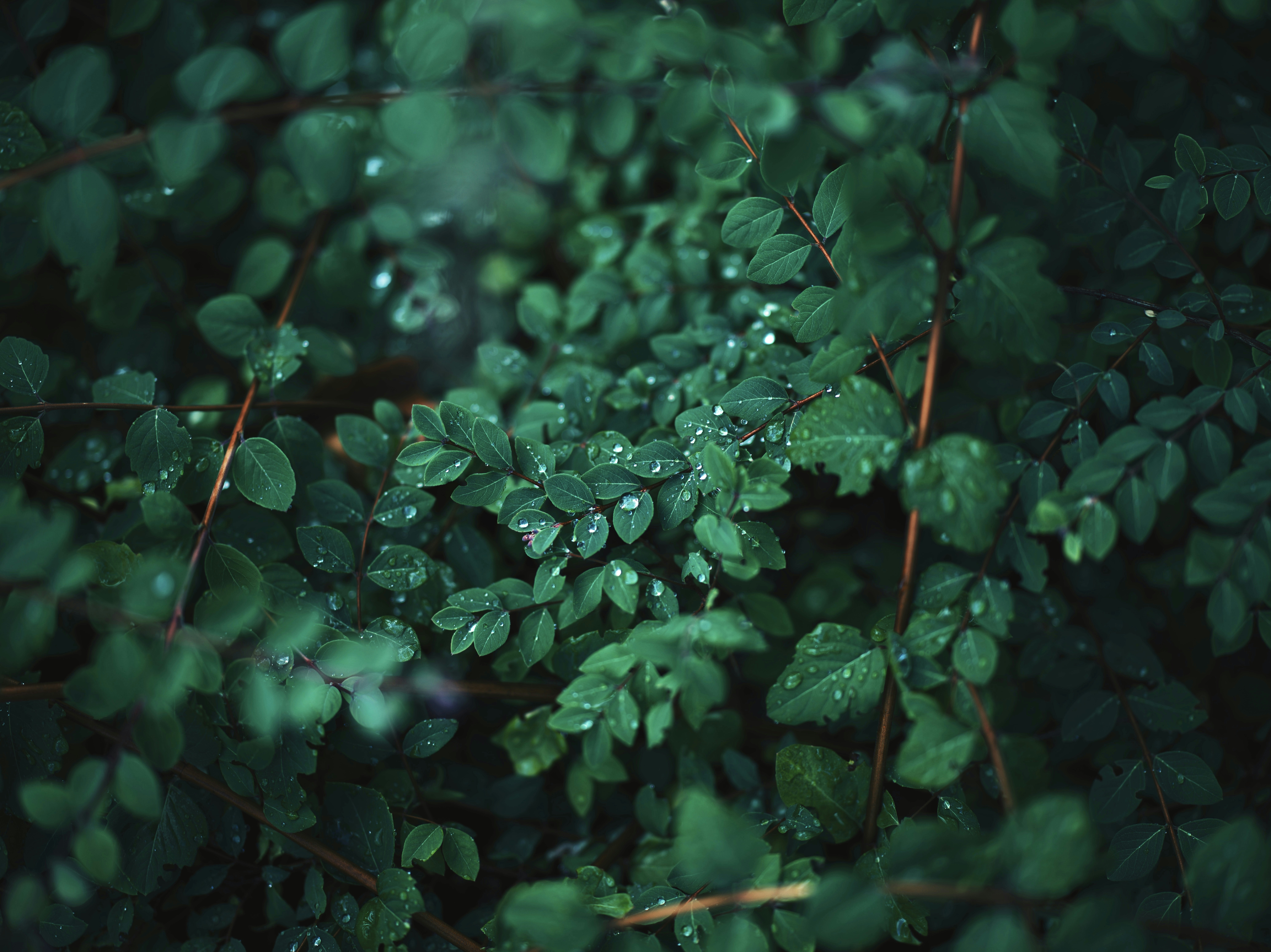 Hub and Spoke Networks: Why Packages Take Detours to Reach You Faster