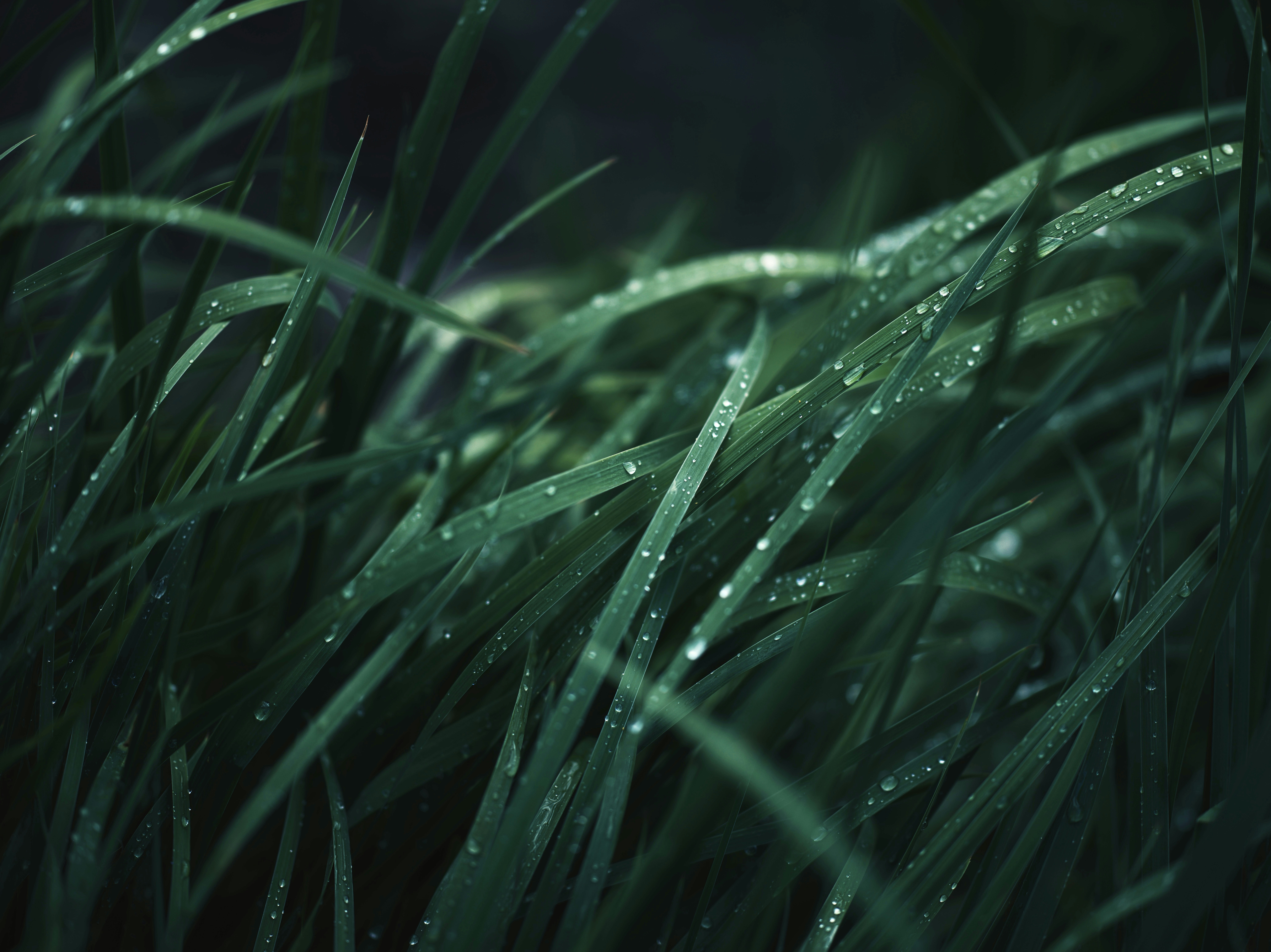 Photo by egorkomarov