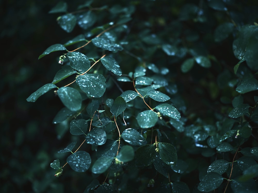 a close up of some water