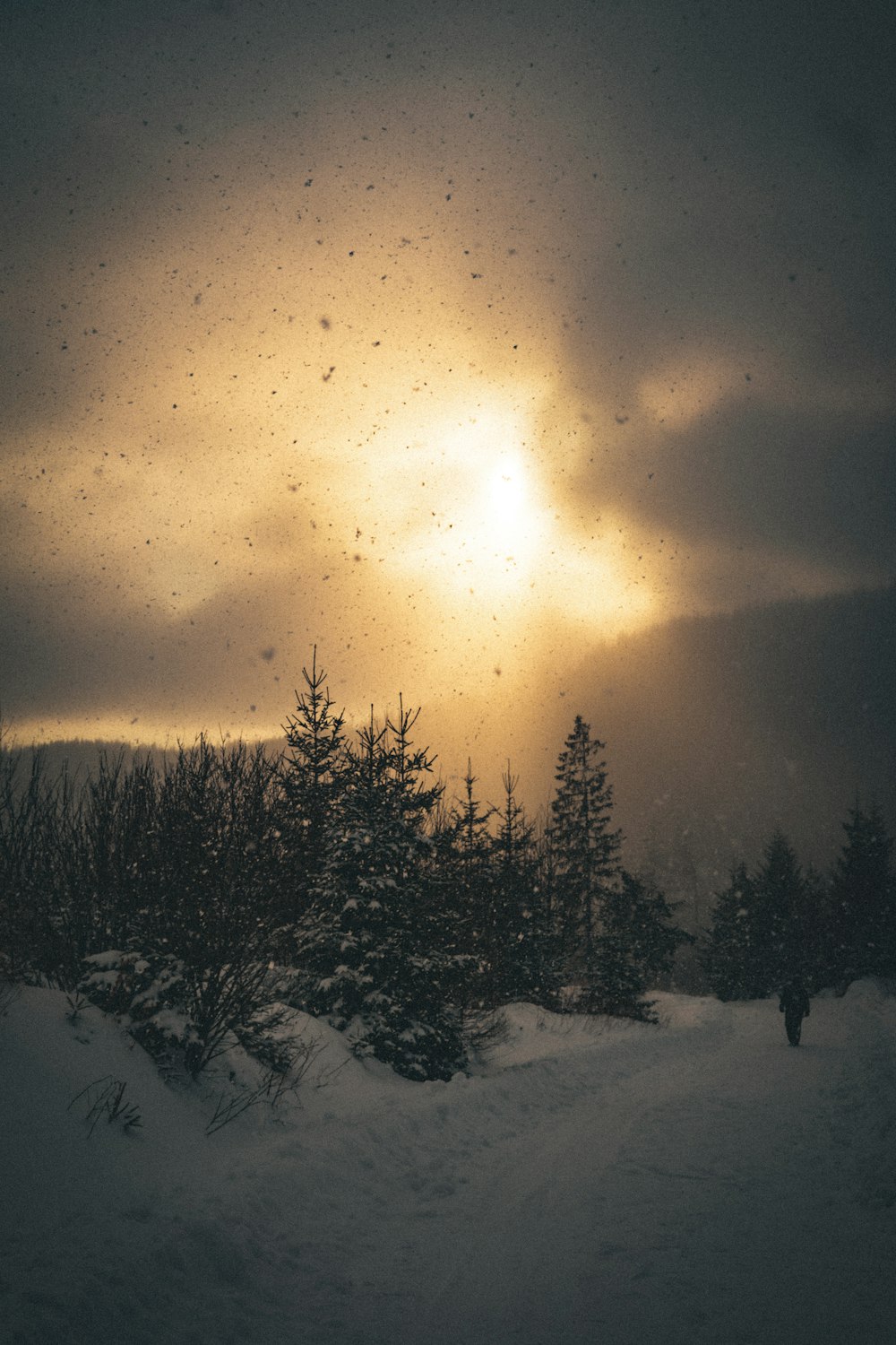 a snowy landscape with trees and the sun in the sky