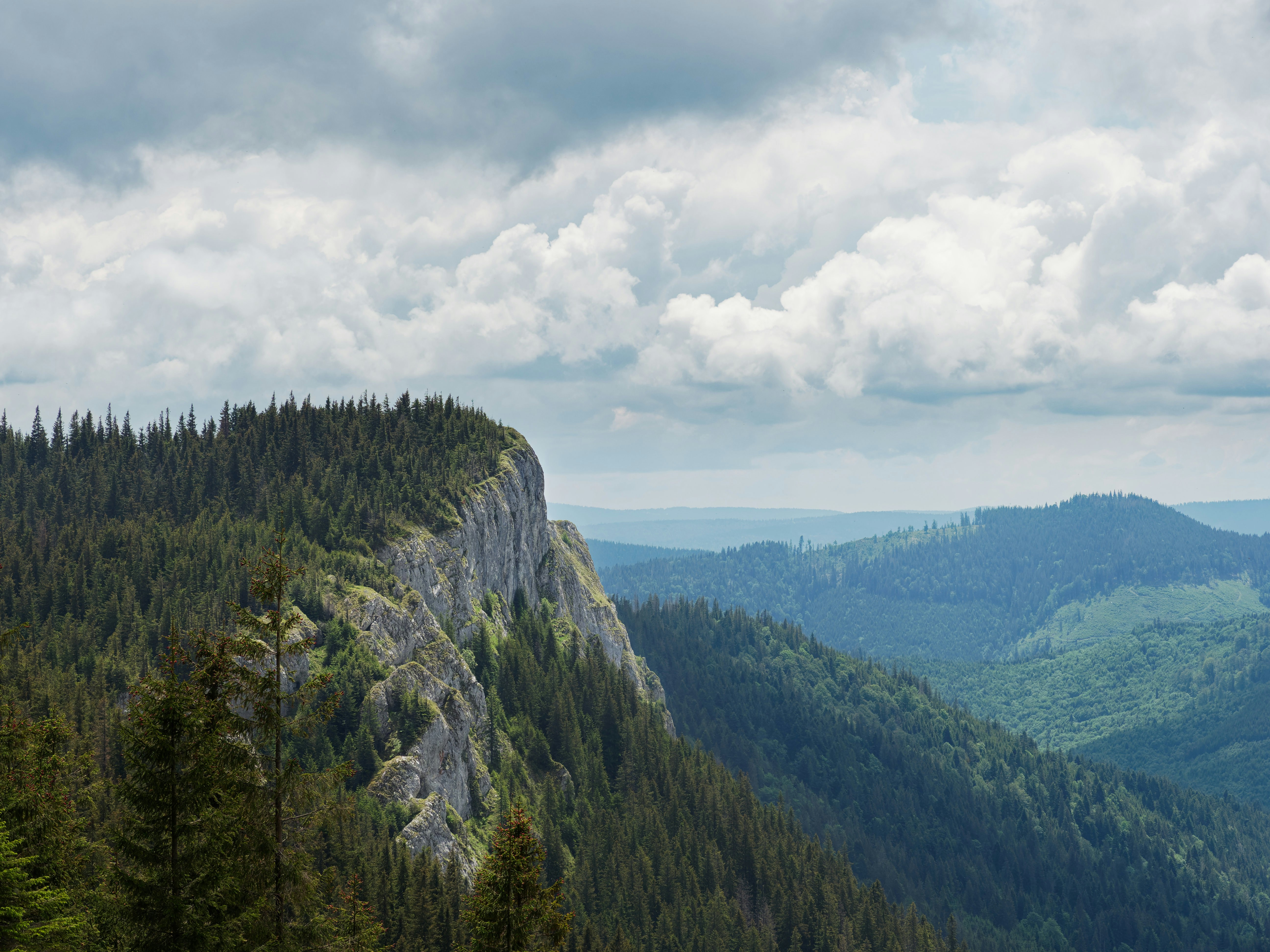 Photo by illes_cristi