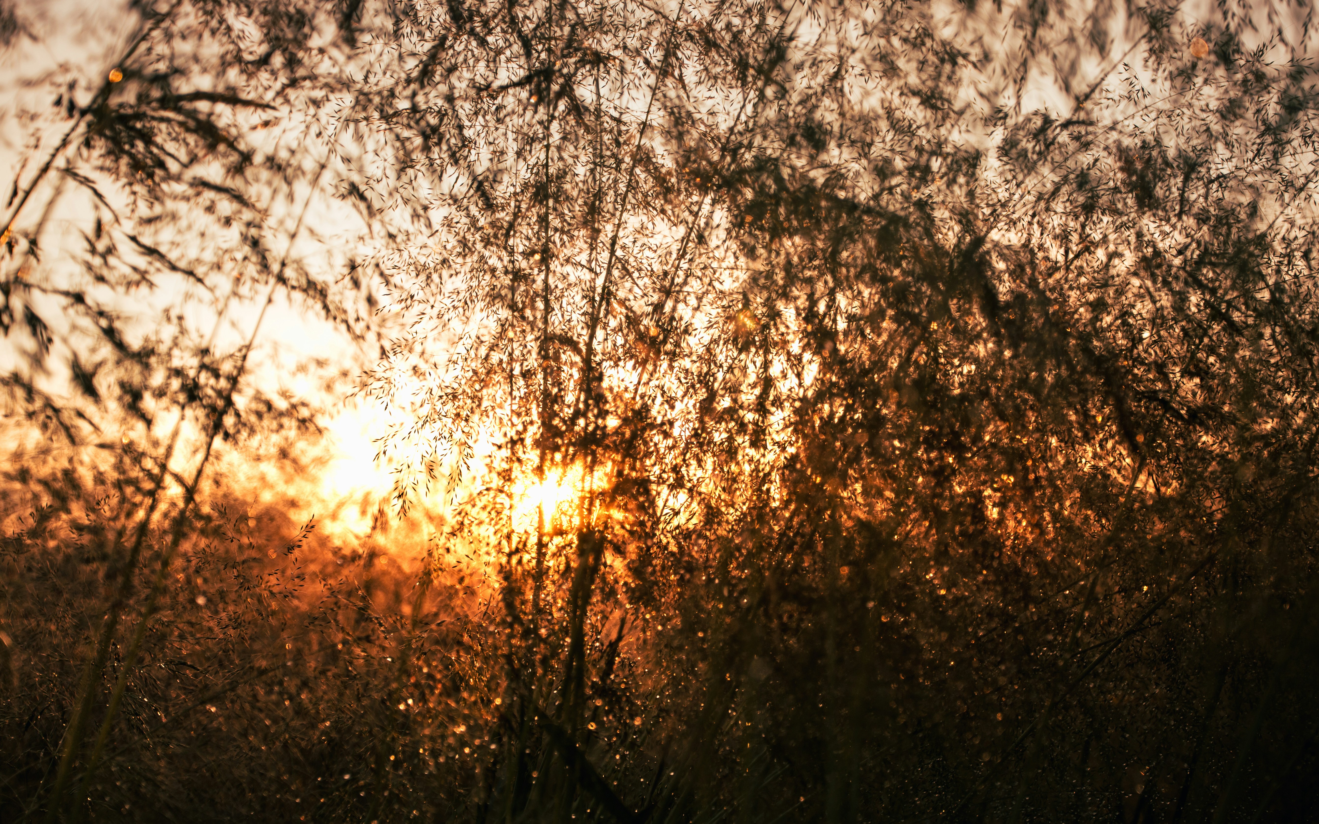Photo by marekpiwnicki