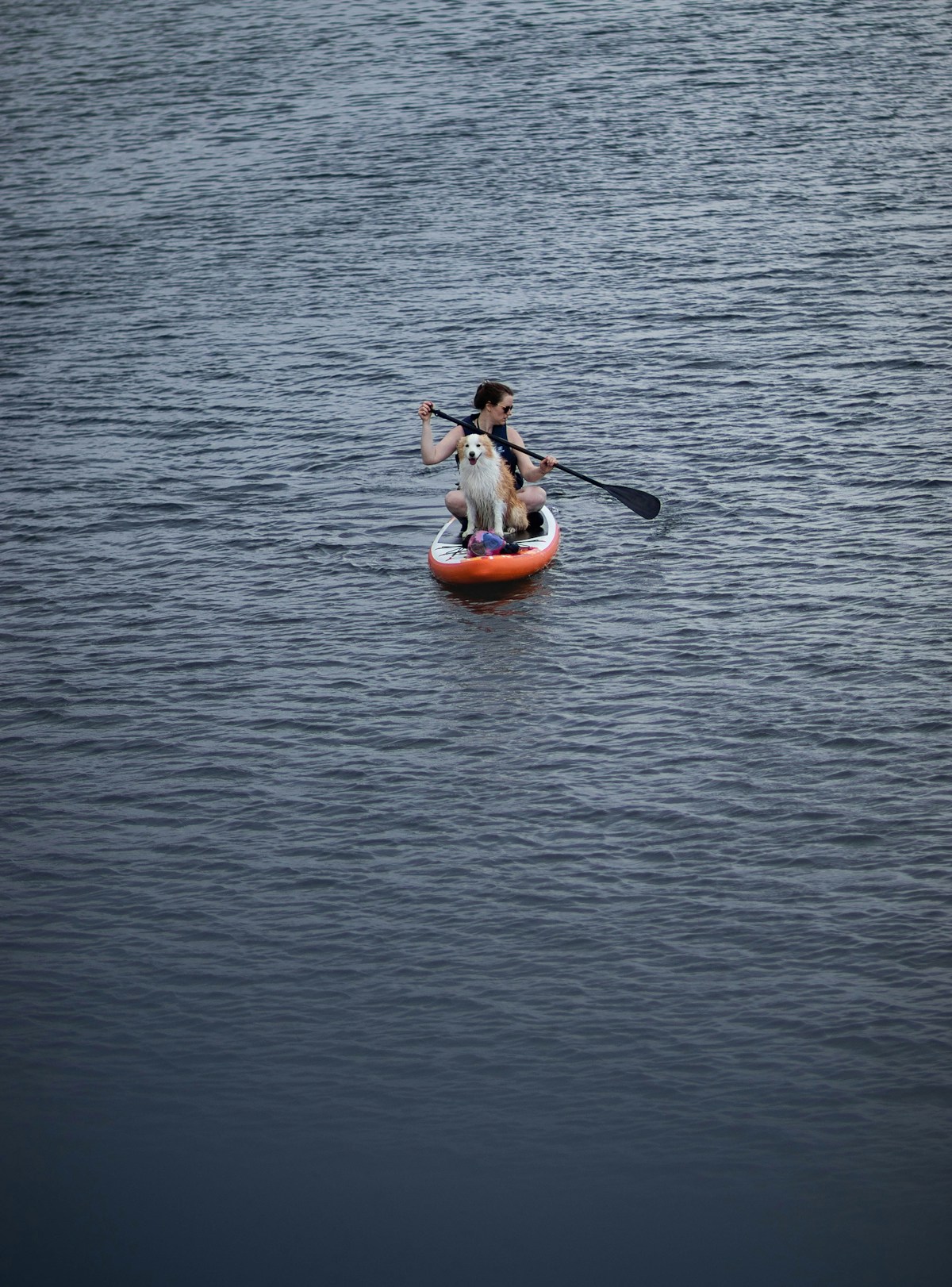 Boat Hire image background image
