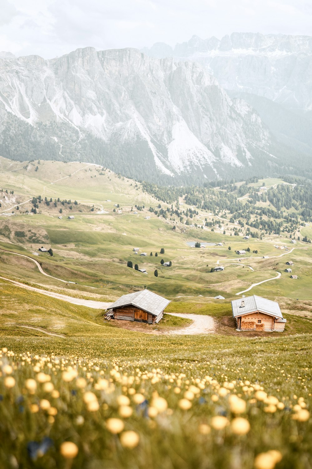Ein Haus auf einem Feld mit einem Berg im Hintergrund