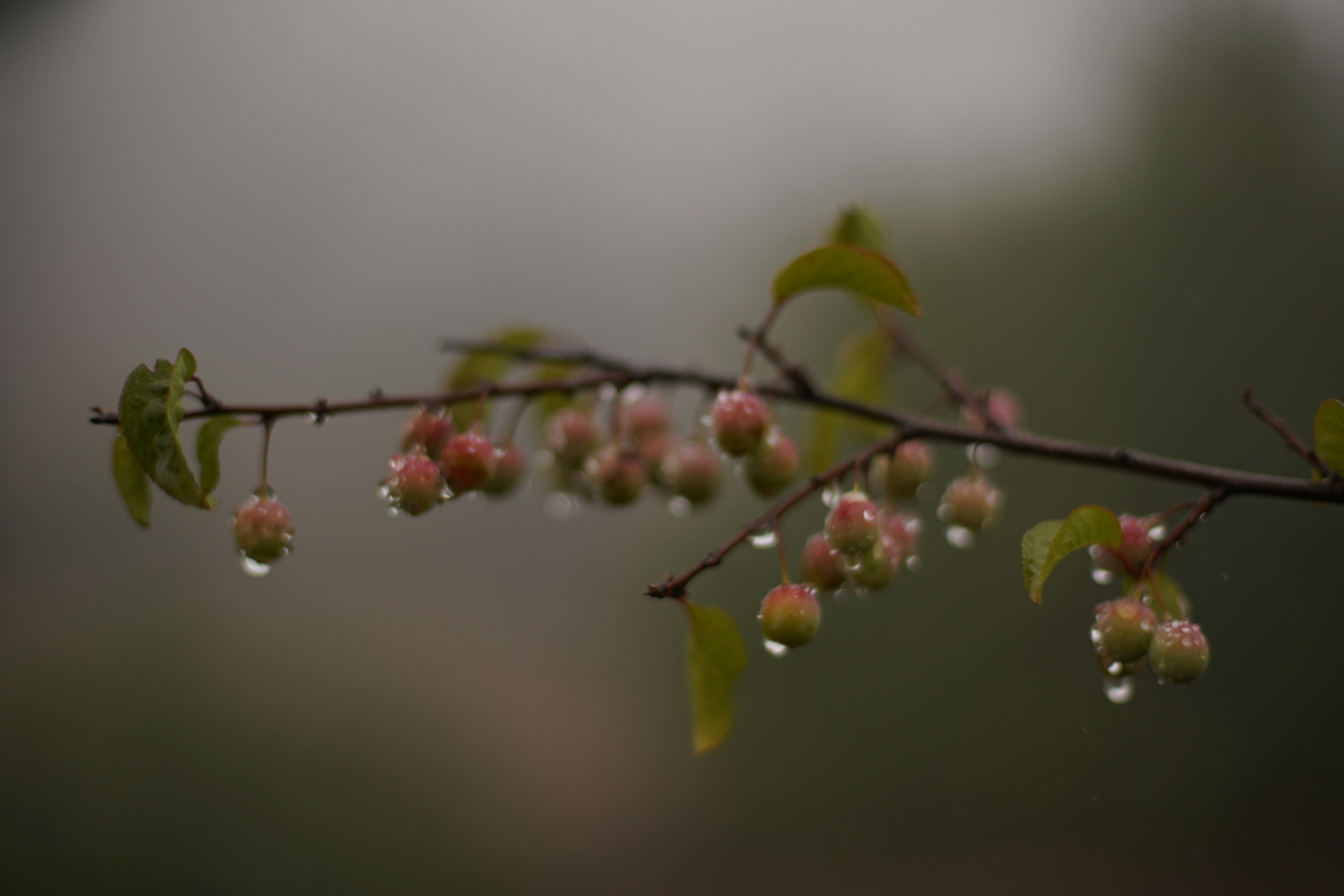 Photo by hasanbayat1881