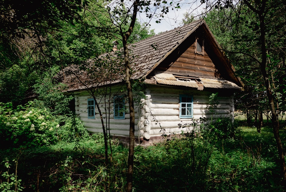 a house in the woods