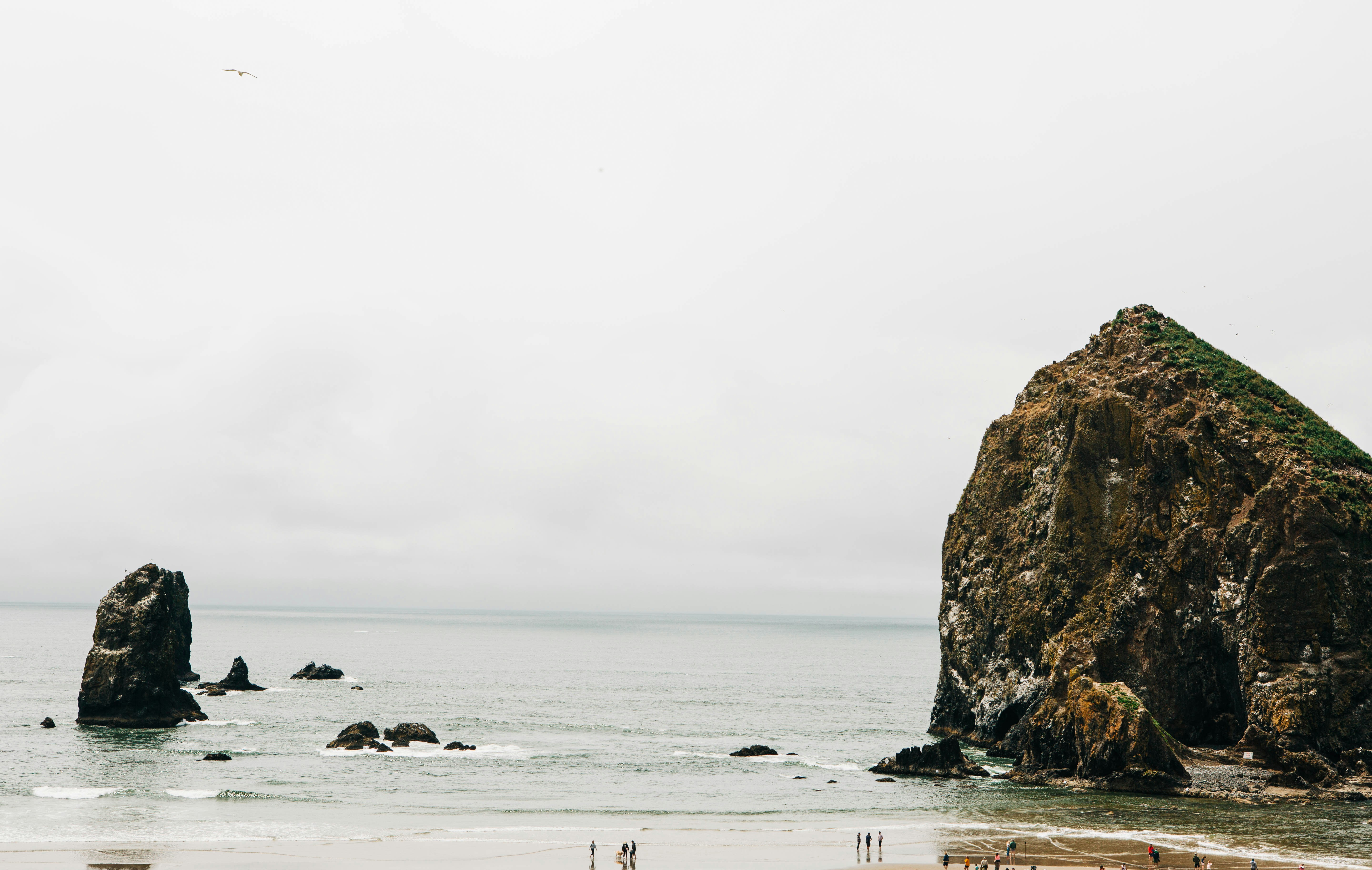 Photo by lexilaginess