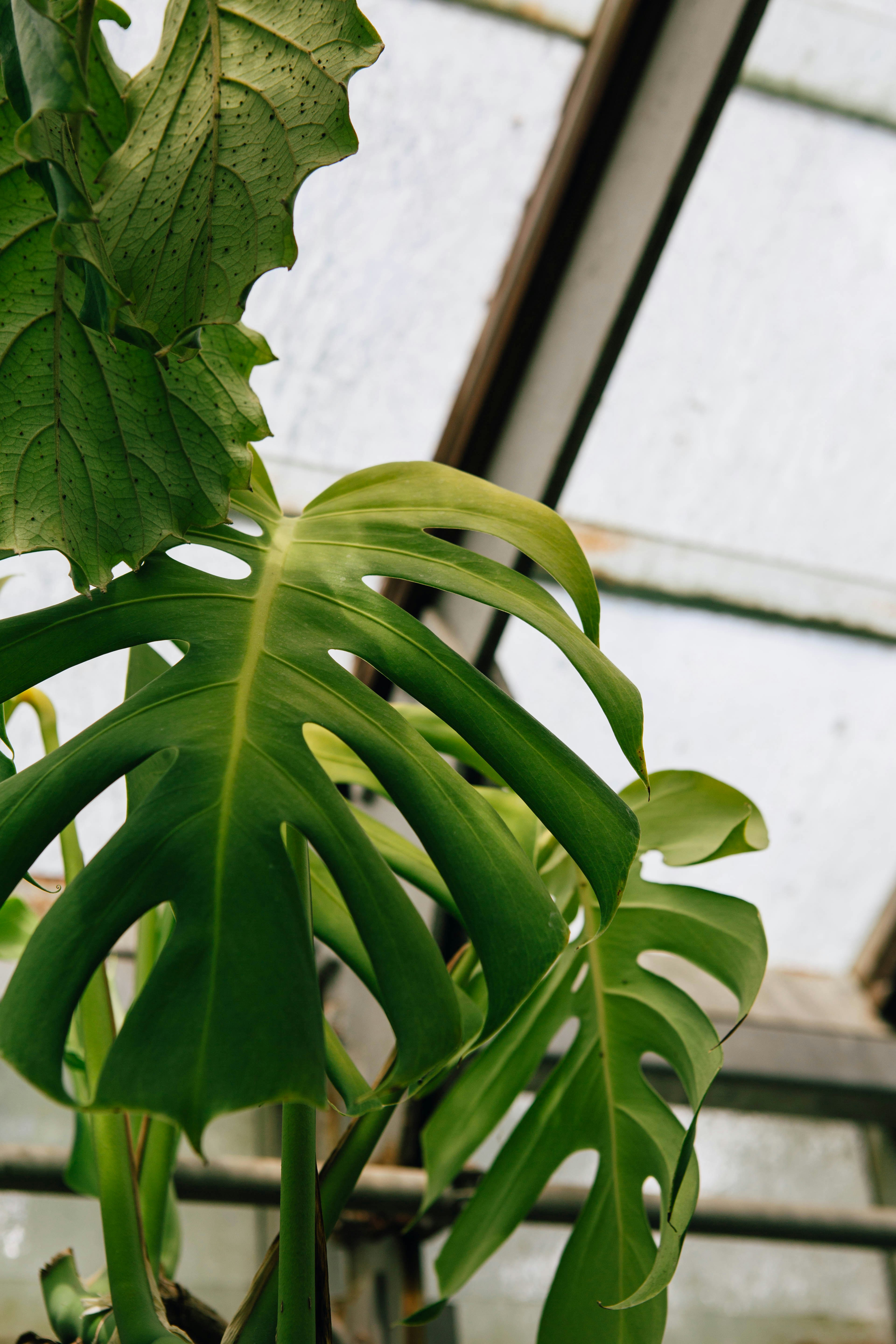 Photo by lexilaginess