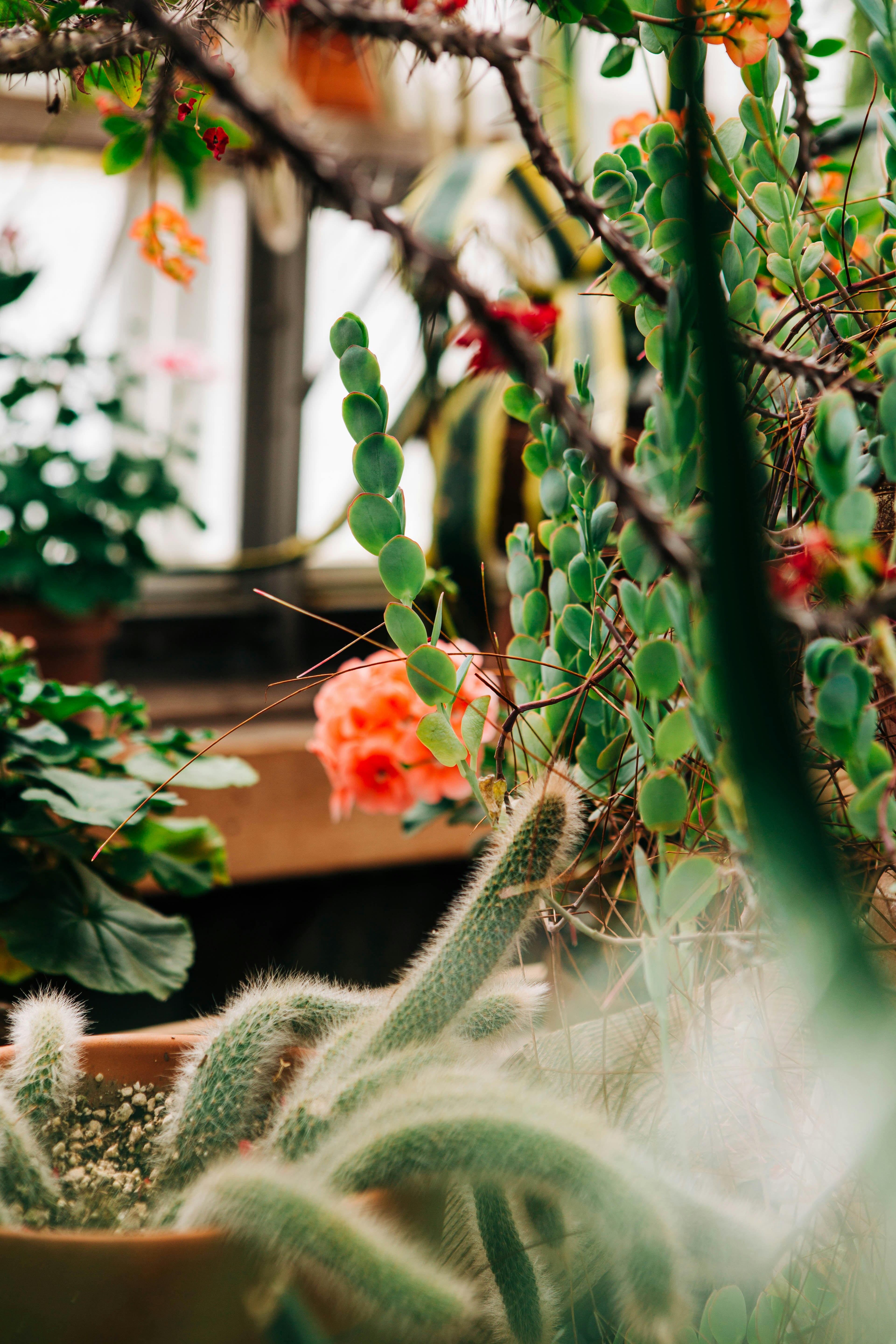 Photo by lexilaginess