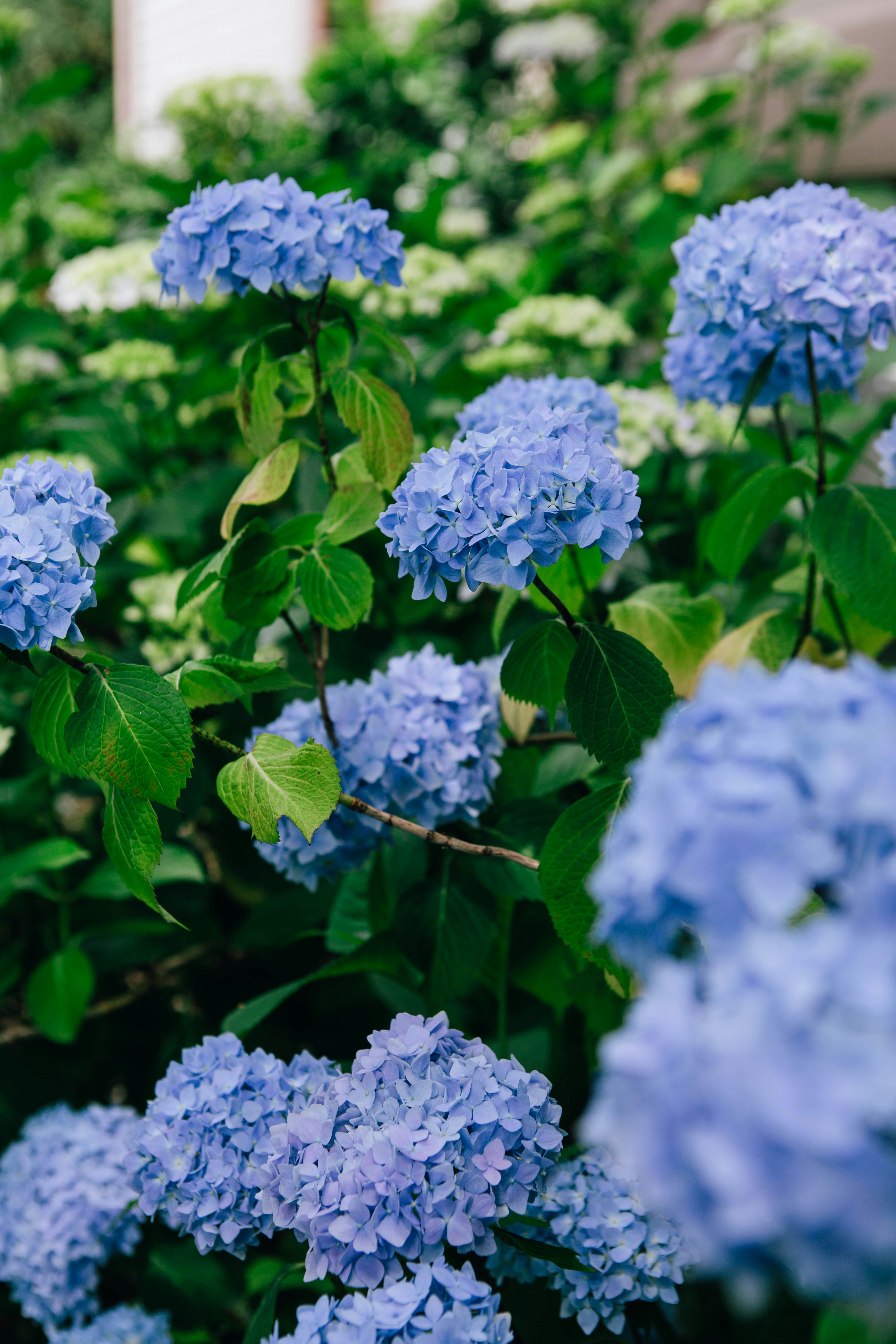 Photo by lexilaginess