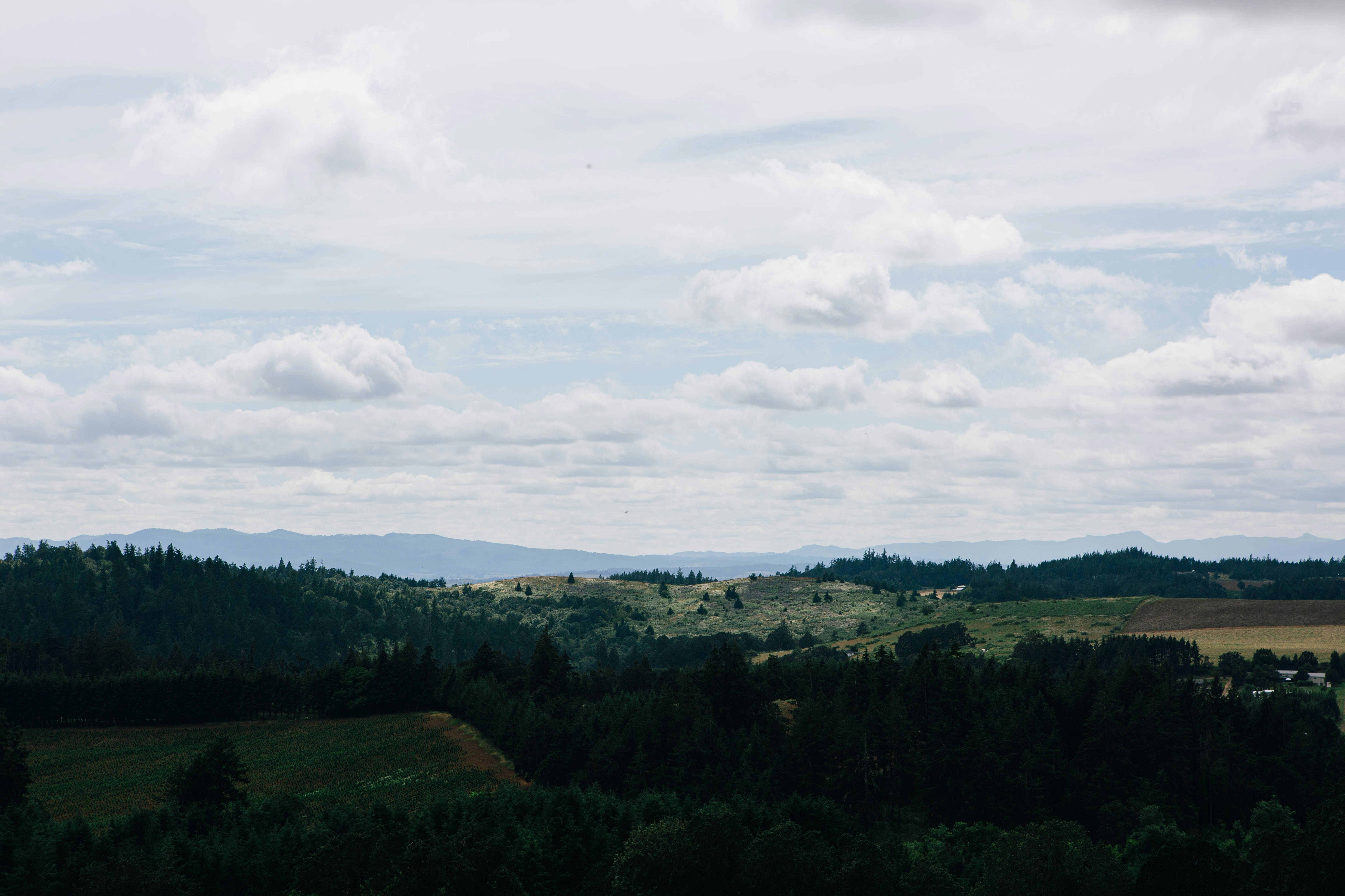 Photo by lexilaginess