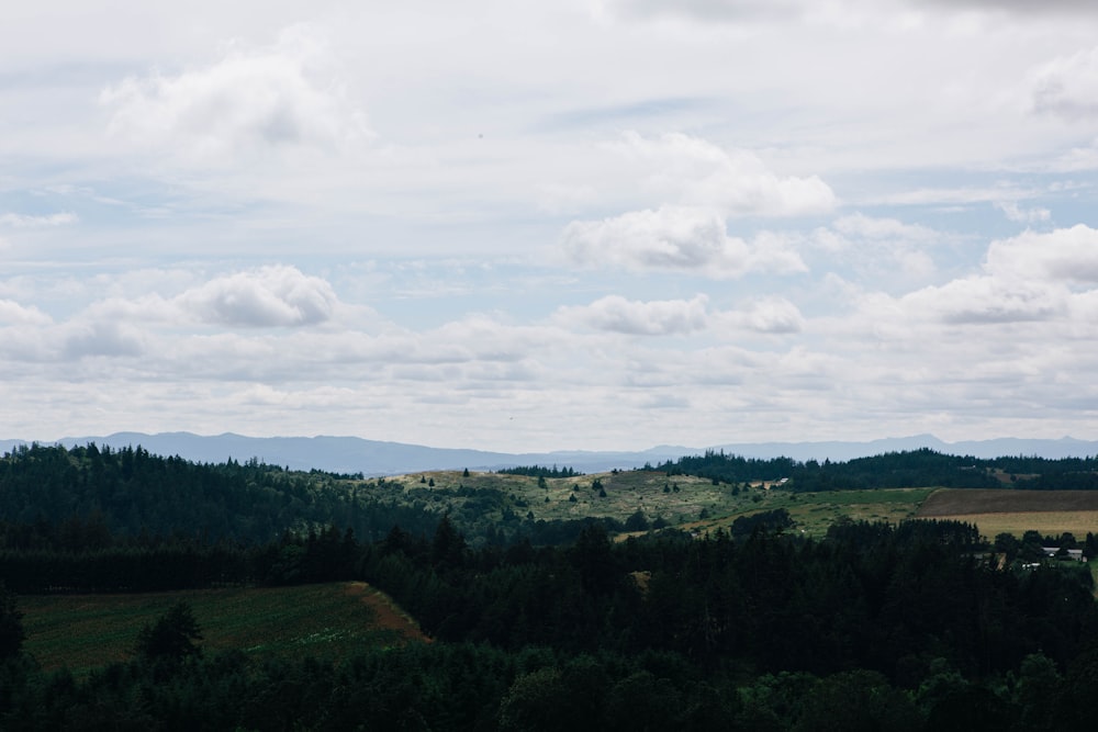 un paesaggio con alberi e colline