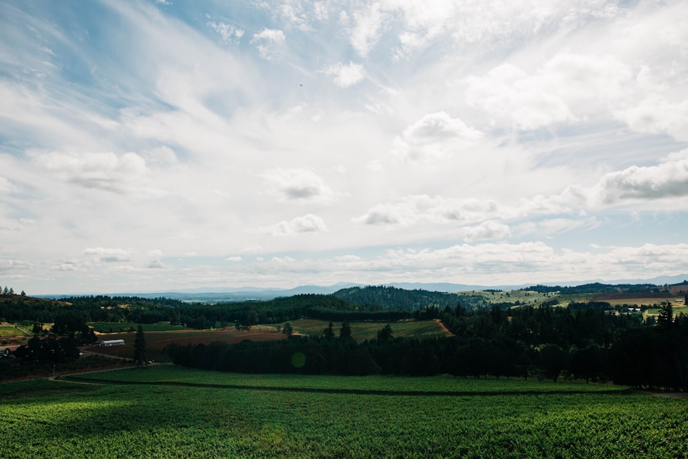 a large green field with trees and a town in the distance