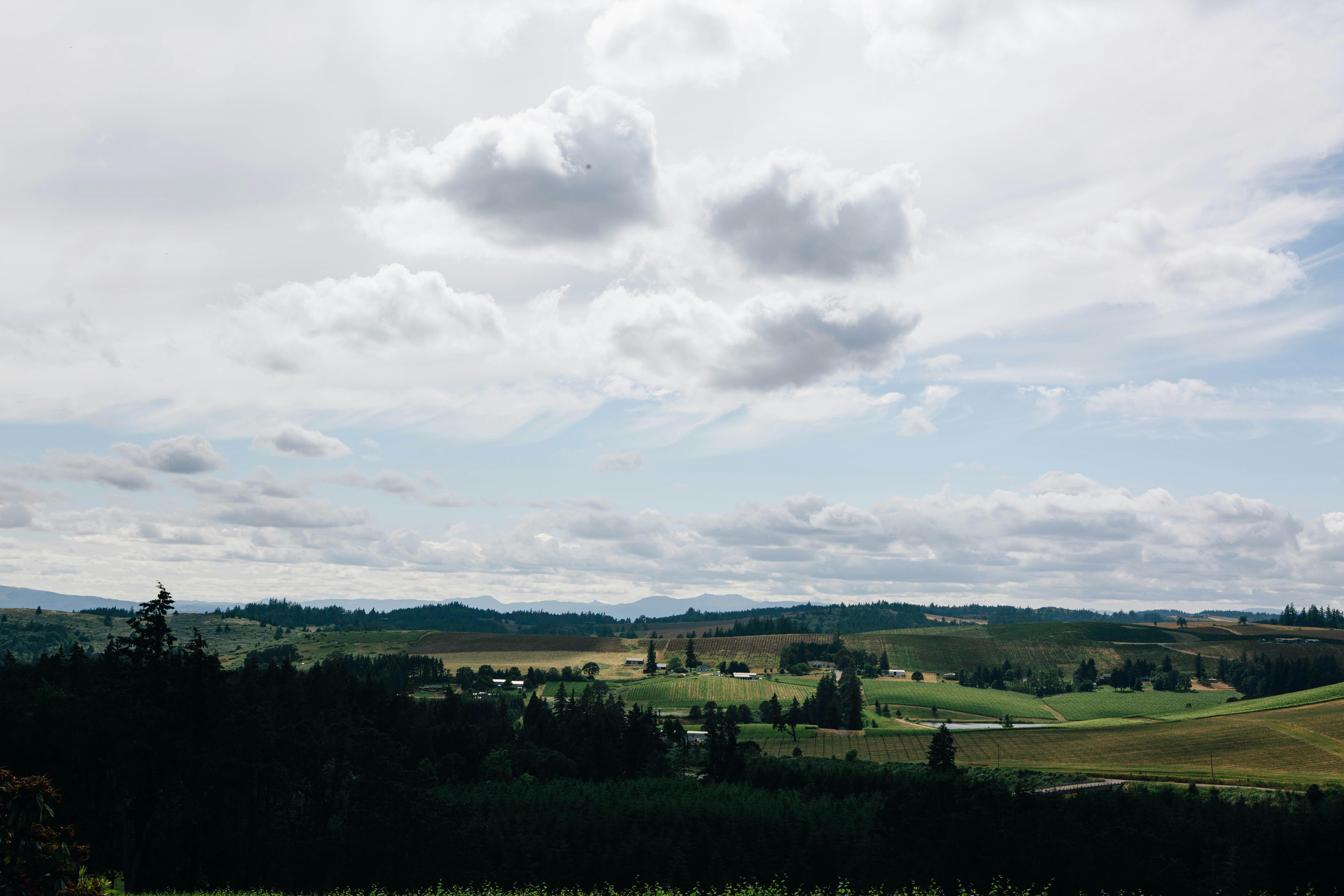 Photo by lexilaginess