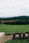 Guests enjoying a quiet moment on the veranda overlooking the vast green fields.