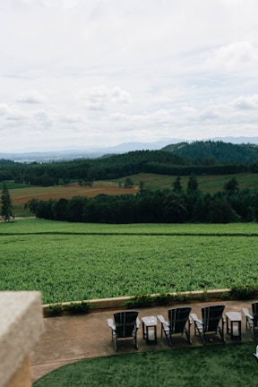 Guests enjoying a quiet moment on the veranda overlooking the vast green fields.