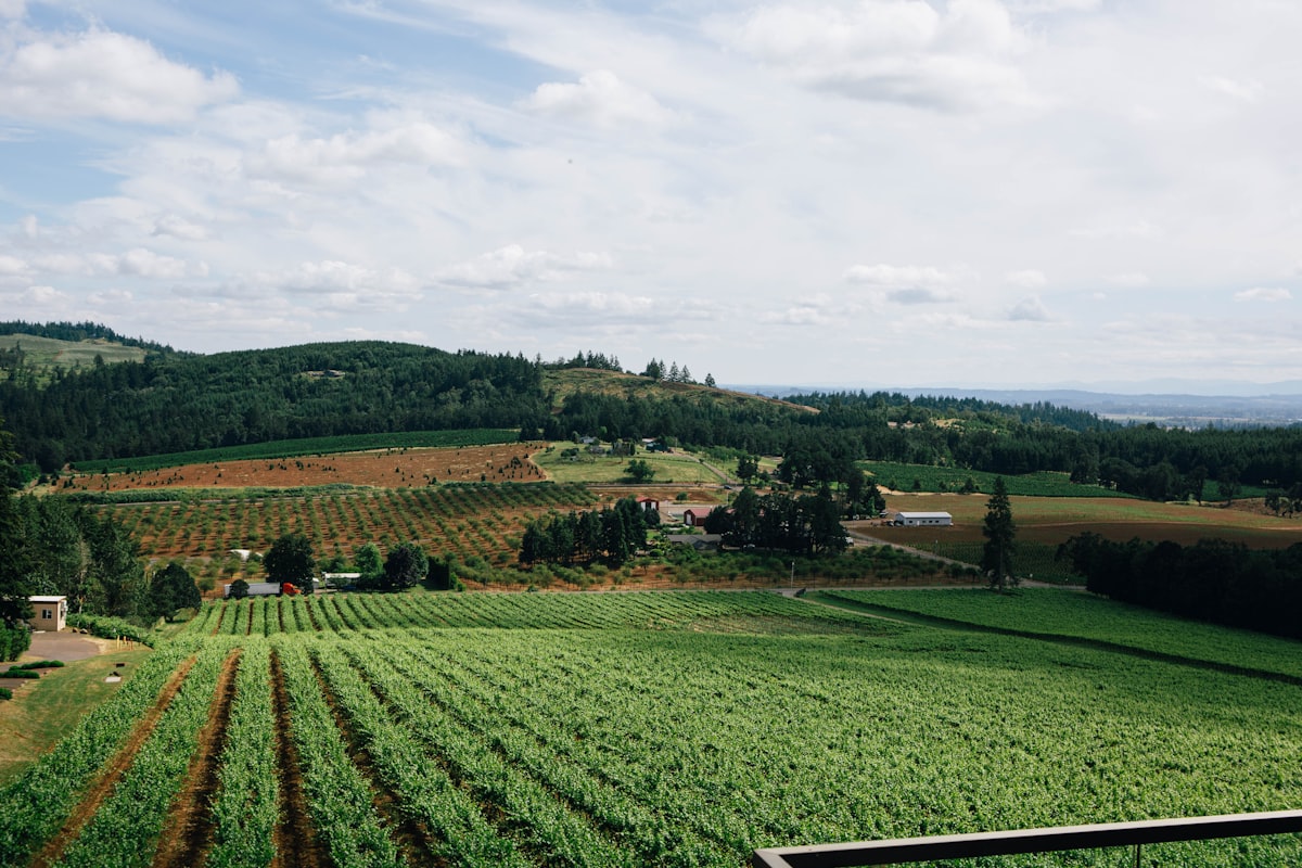 Willamette Valley farmland near Cornelius Oregon