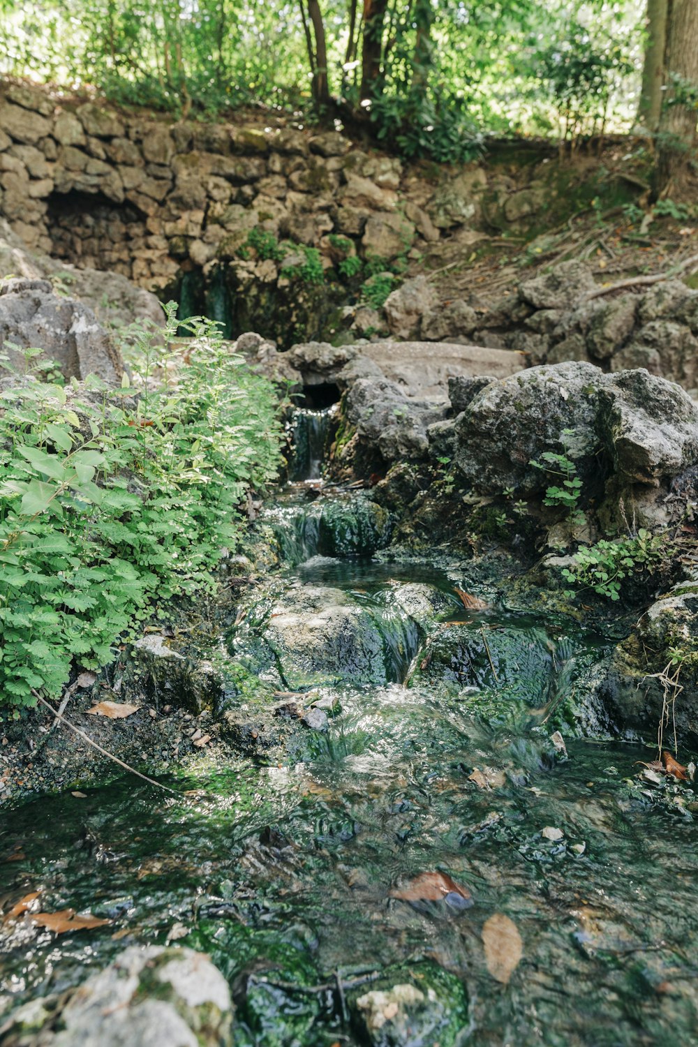 a small waterfall in a forest