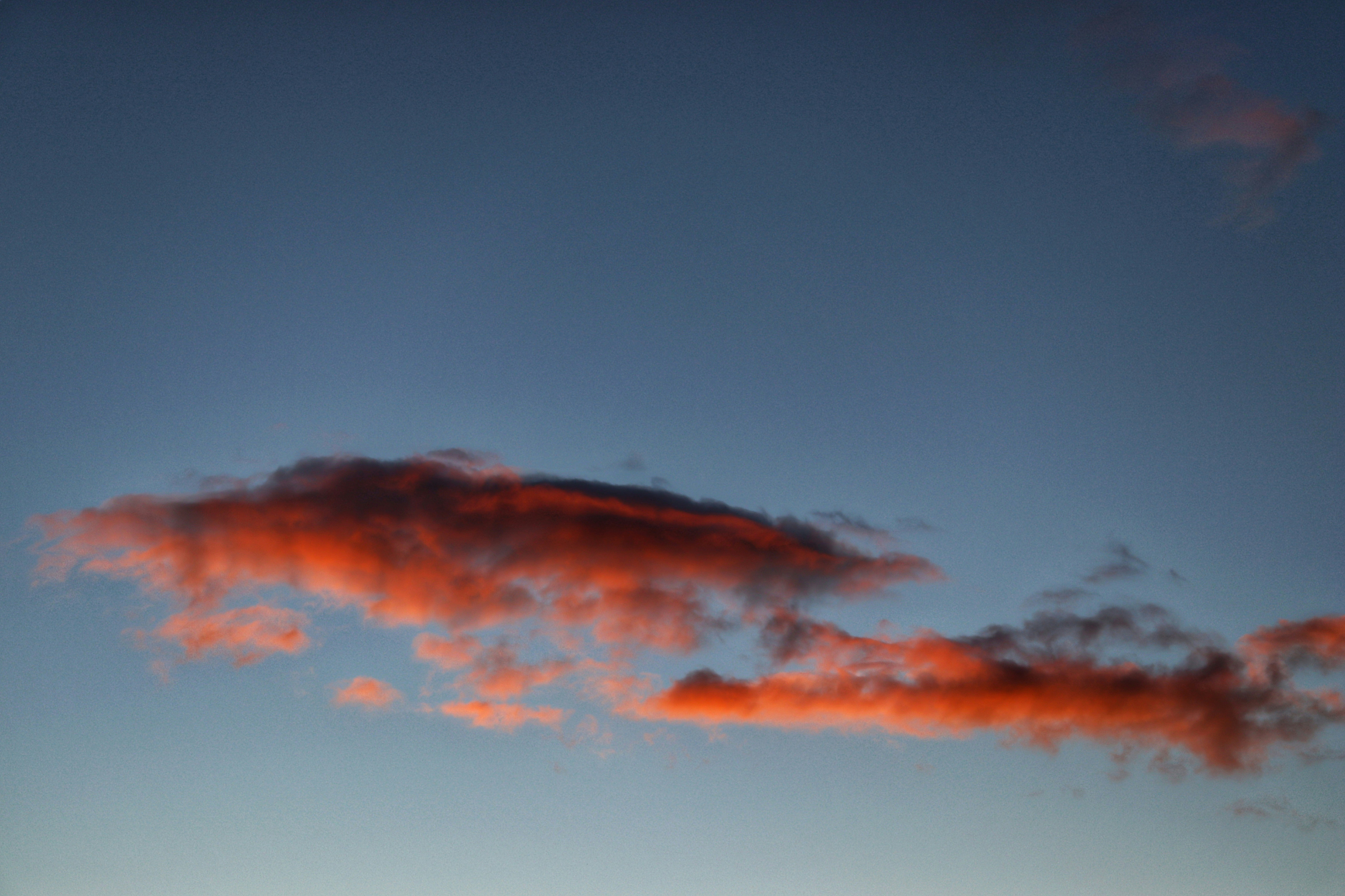 Photo by augustinfoto