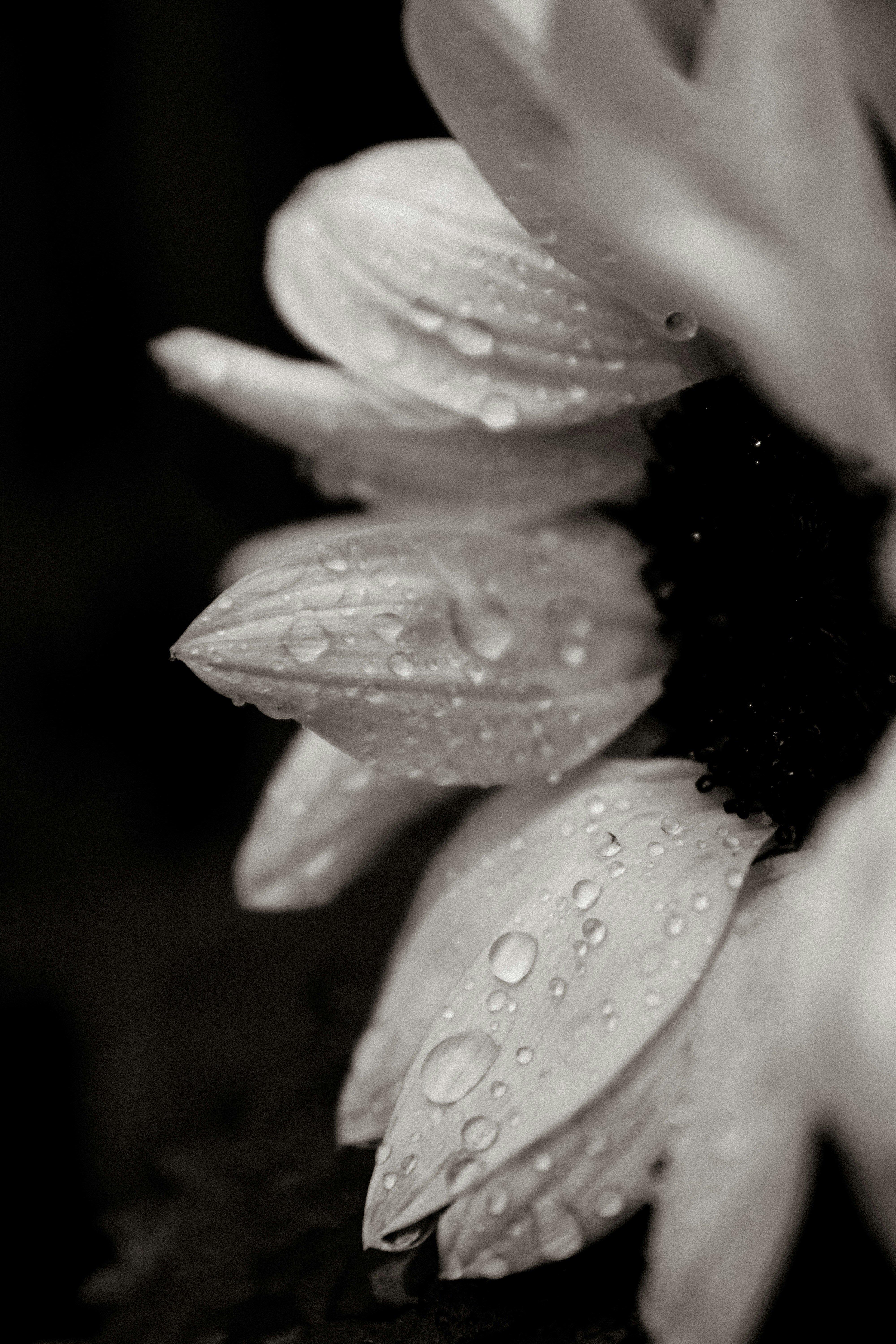 Photo by lanathegraves