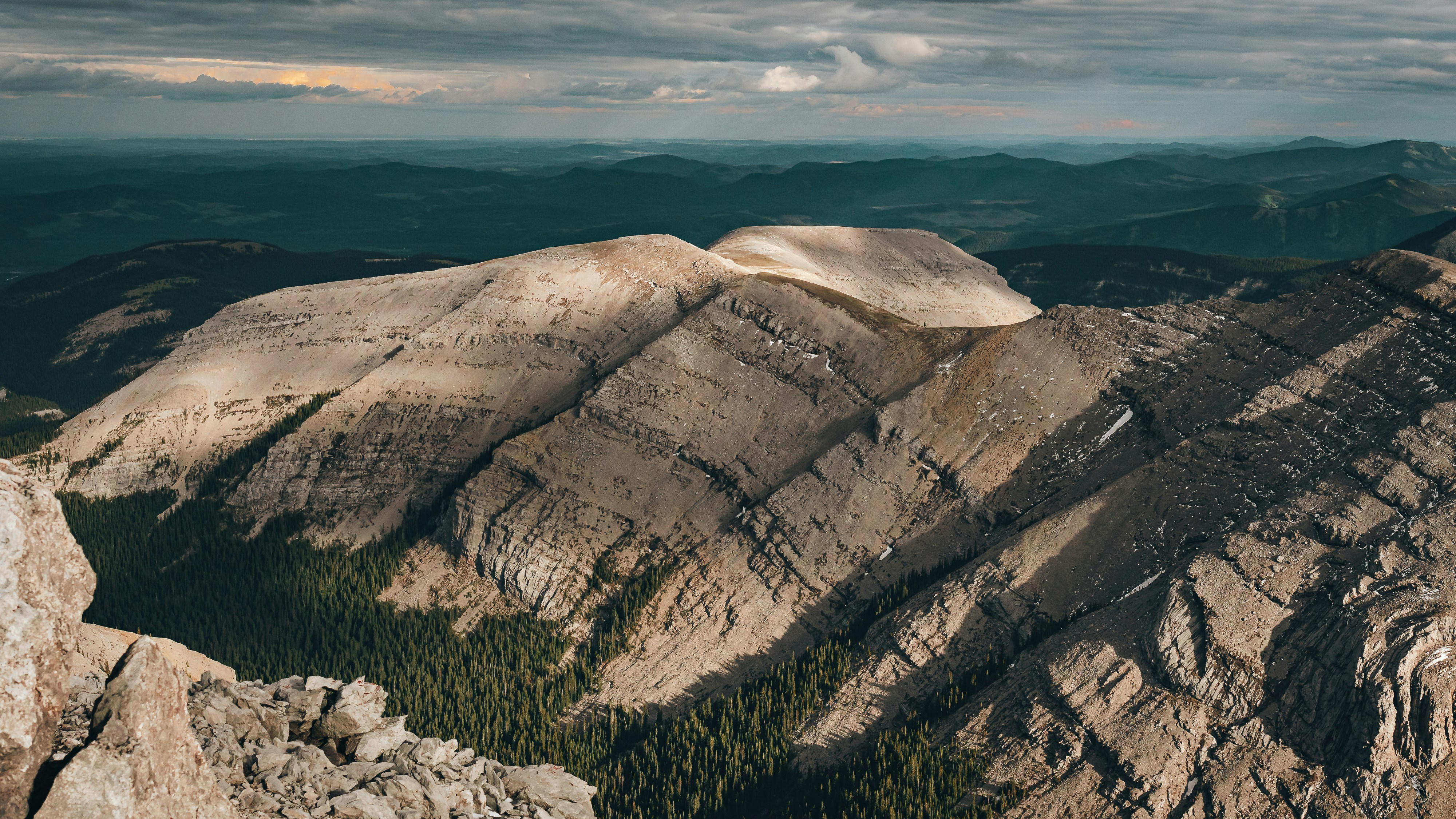 Photo by tfrankcreations