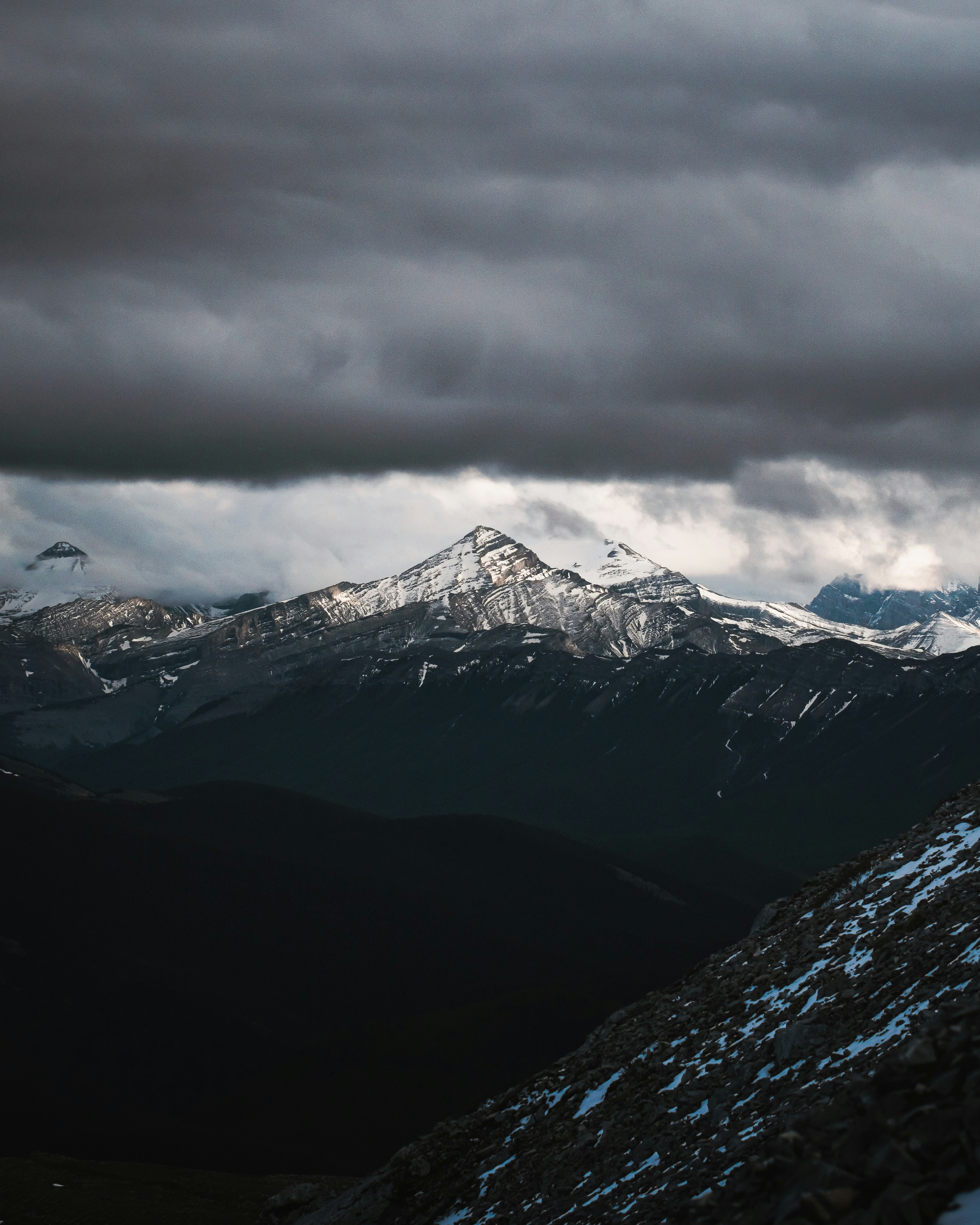 Photo by tfrankcreations