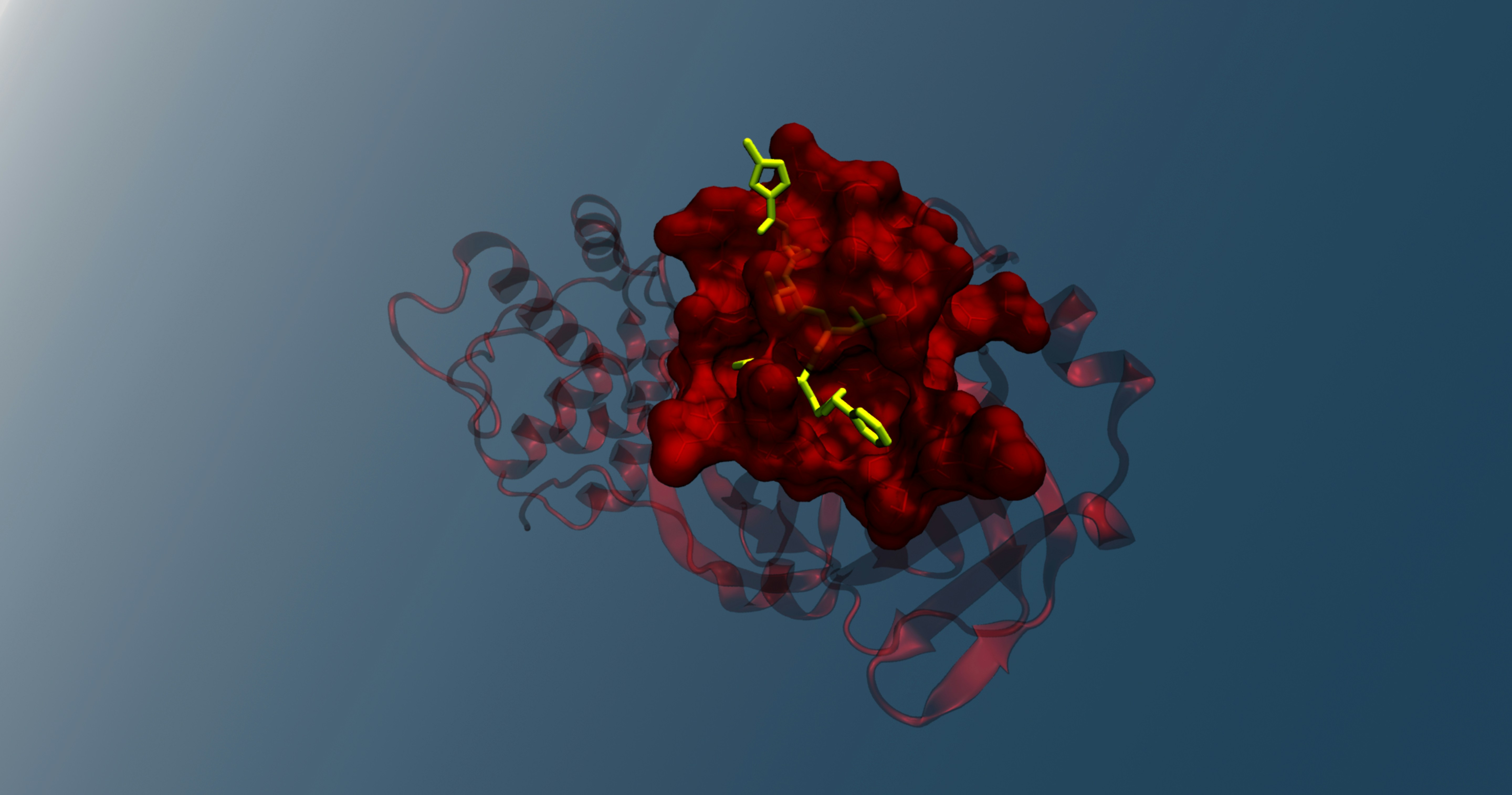 How Butyrate Supports Oxalate Tolerance: 7 Essential Insights