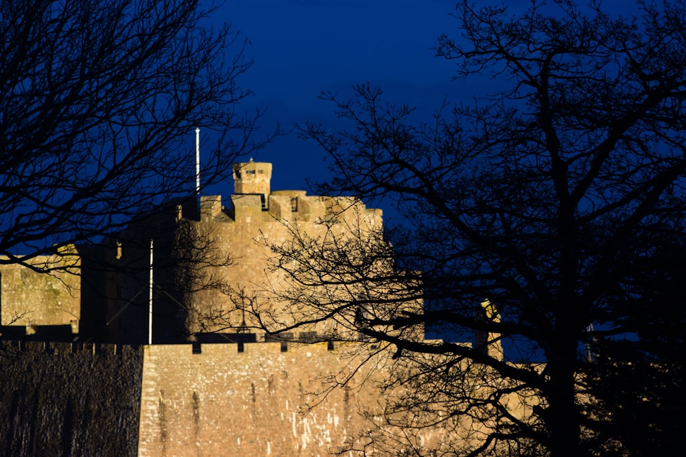 a stone castle with a tree in front of it