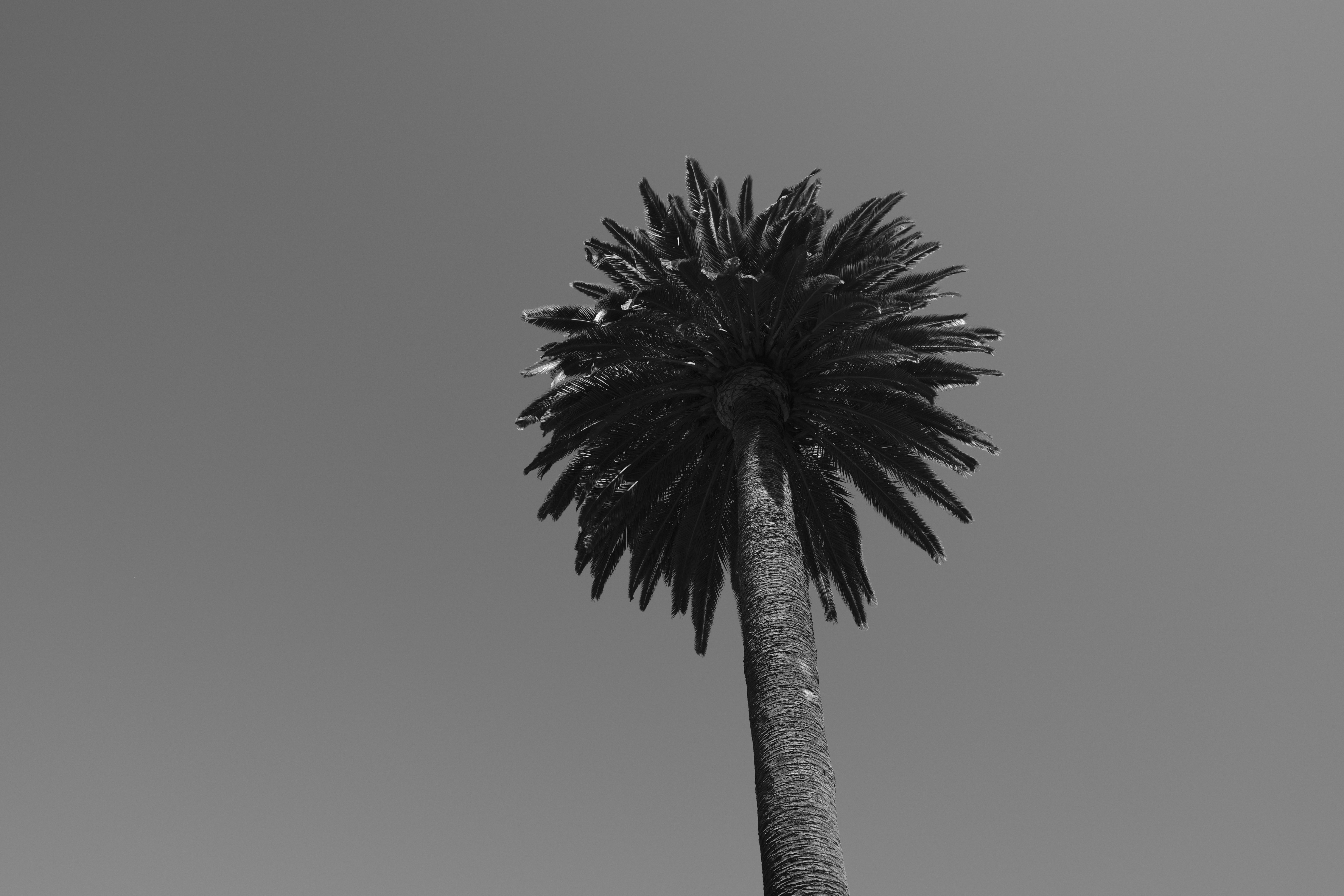 Photo by chandleraitchison