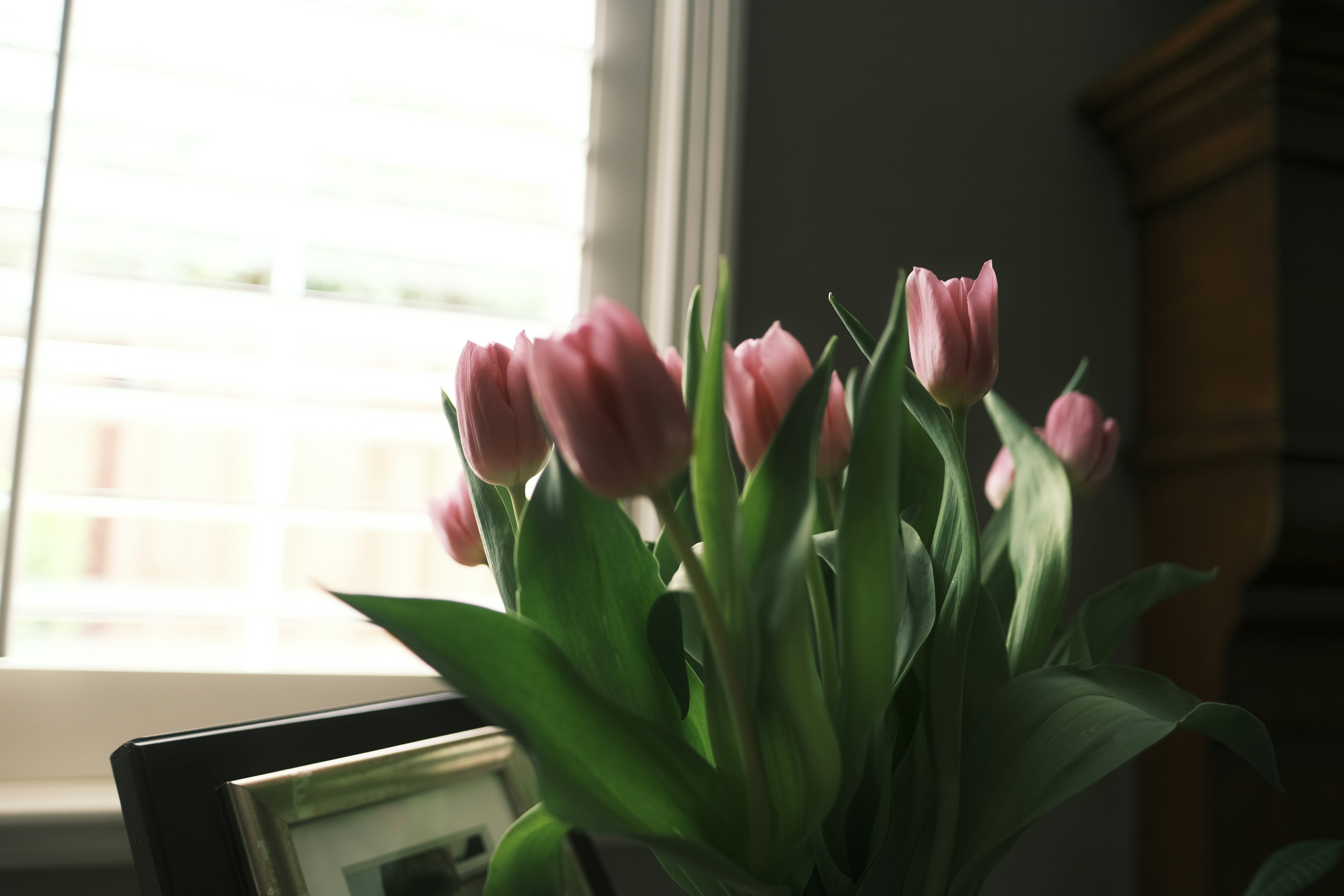 Photo by chandleraitchison