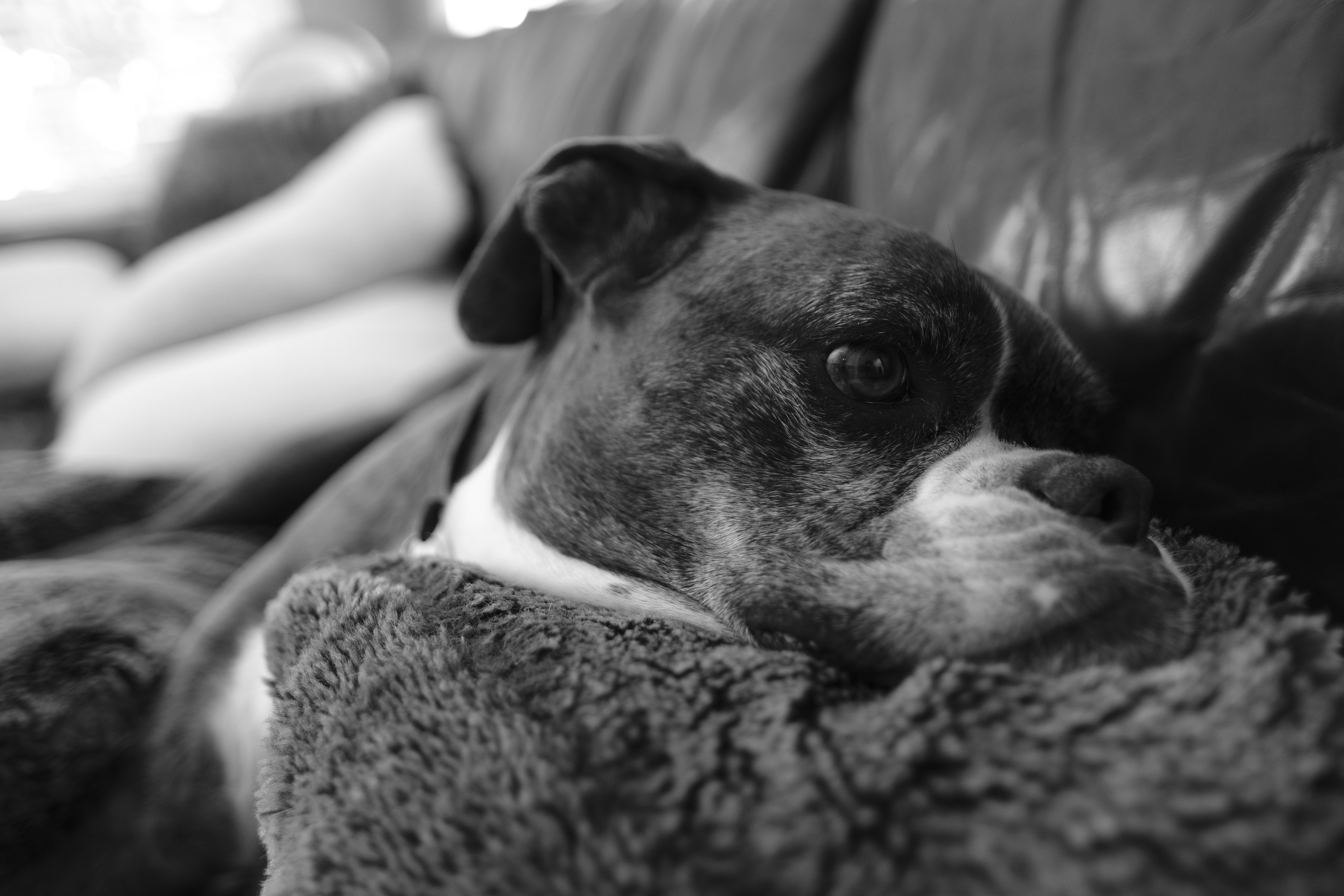 Photo by chandleraitchison