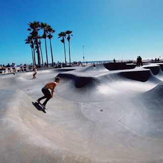 A skateboarder rides through a concrete skate park with multiple curves and ramps, while people watch in the background under a bright, clear blue sky. Tall palm trees line the perimeter of the park, adding a beach-like vibe to the scene.