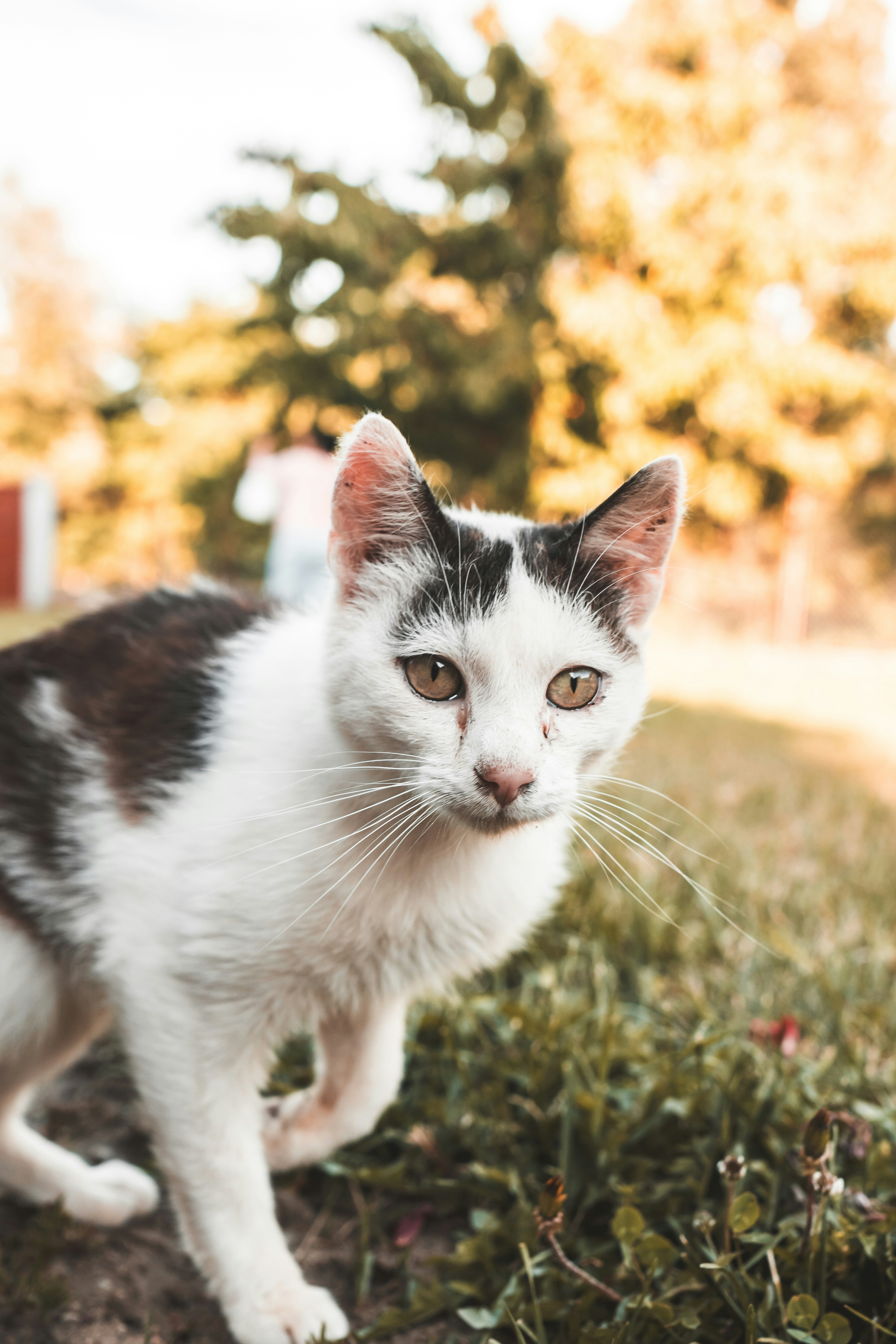 Photo by notsocreative