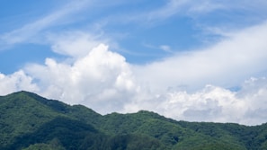 Lush green forests under a bright blue sky.
