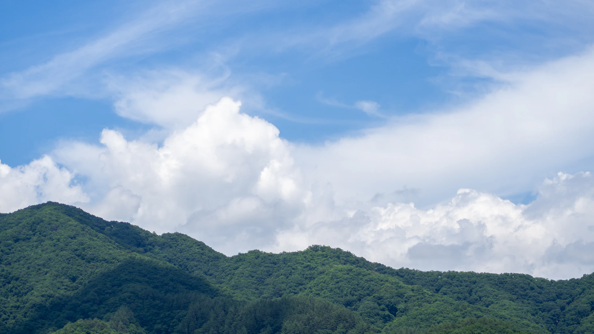 Lush green hills rolling under a bright blue sky, dotted with colorful tropical flowers.