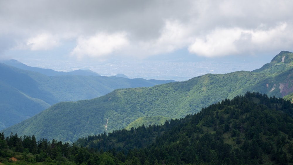 a landscape with trees and mountains