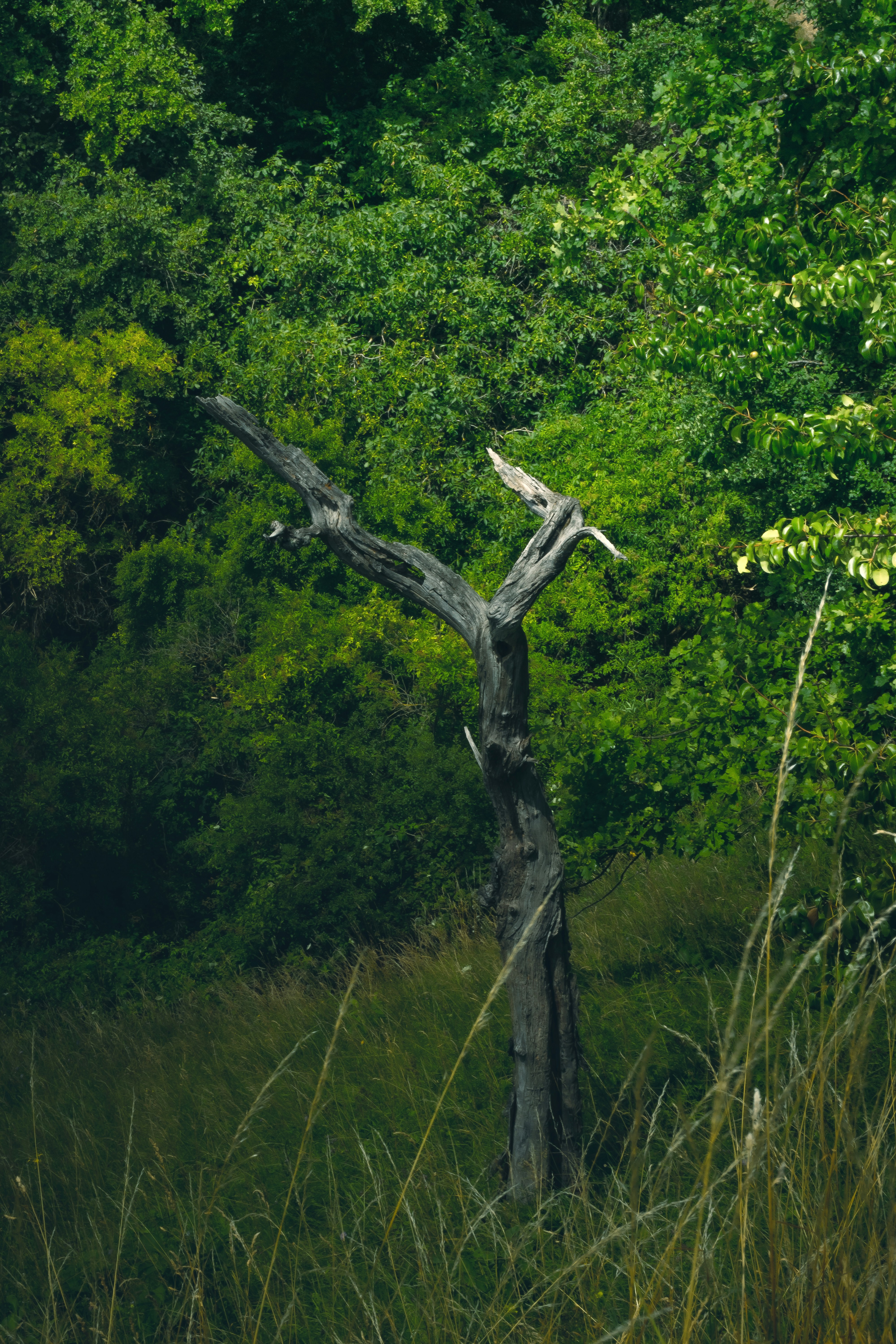 Photo by benjaminmerkle