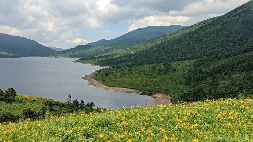 a grassy hill with a body of water and mountains in the background