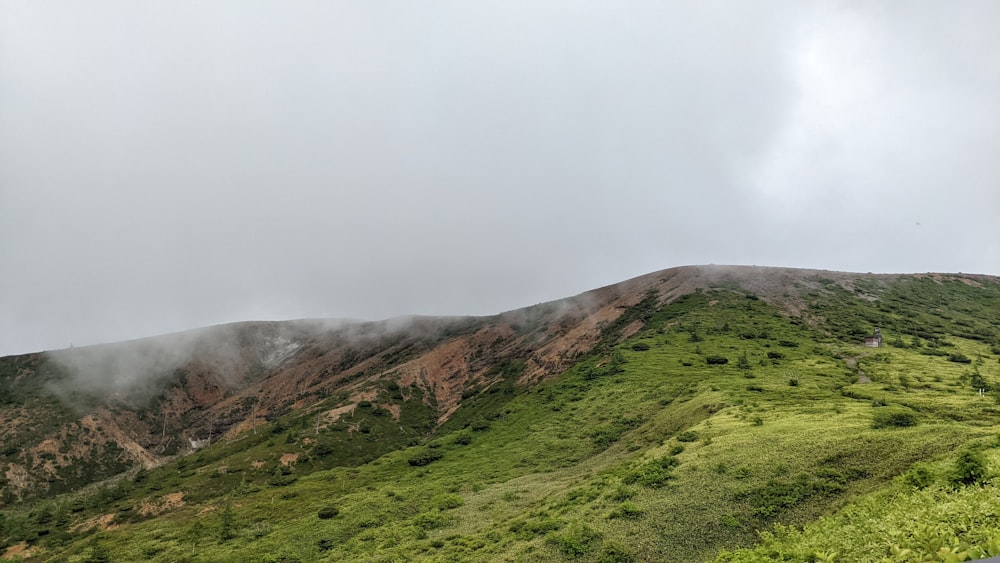 a grassy hill with a foggy sky