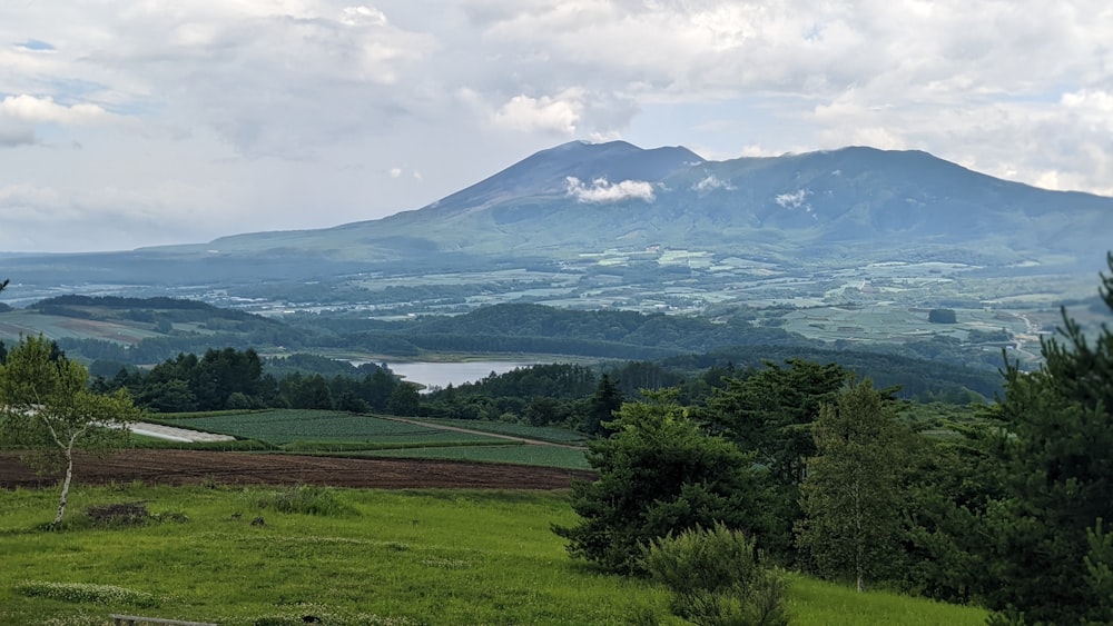 a landscape with trees and mountains in the background