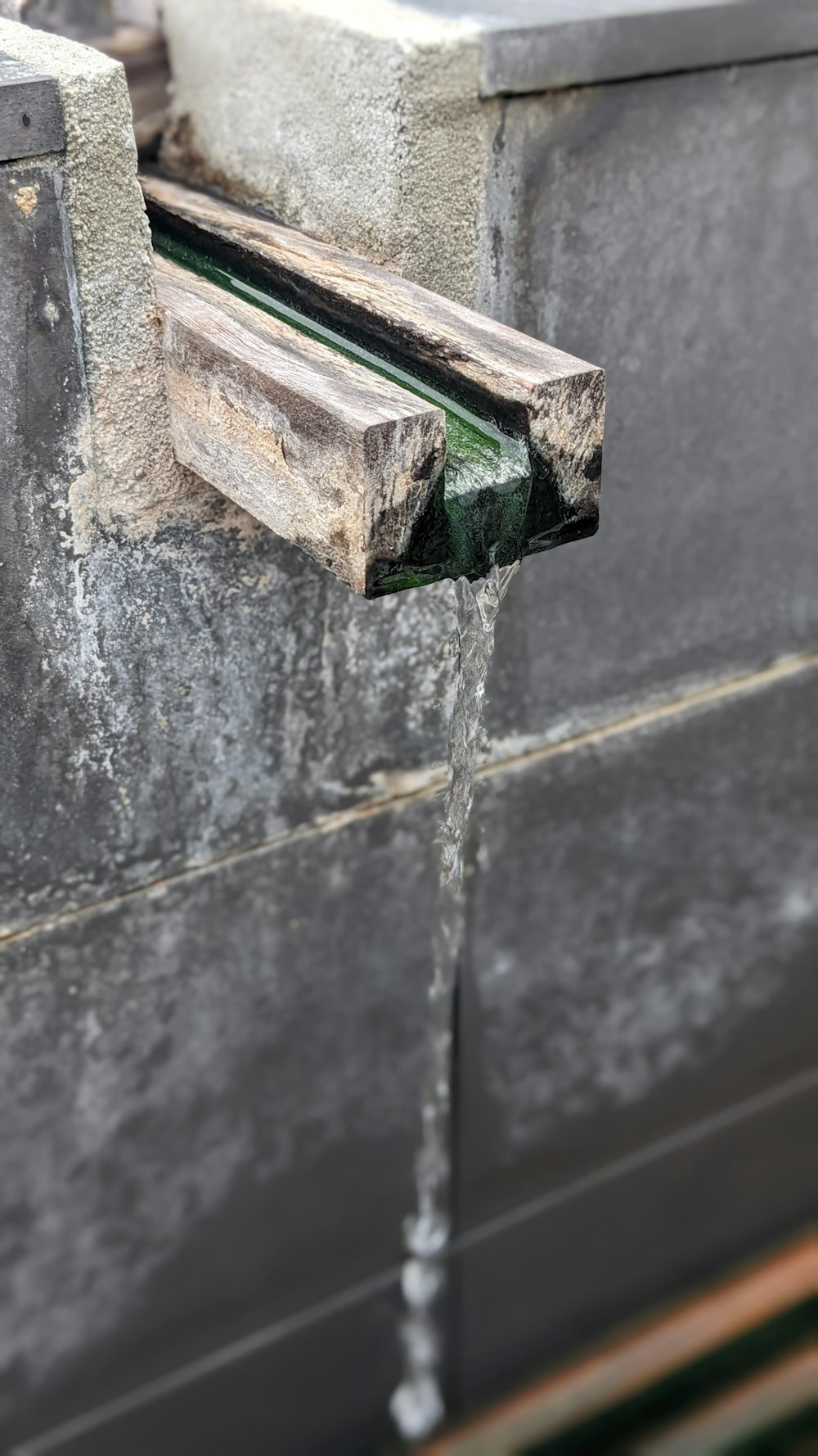 a close-up of a water droplet on a stone wall