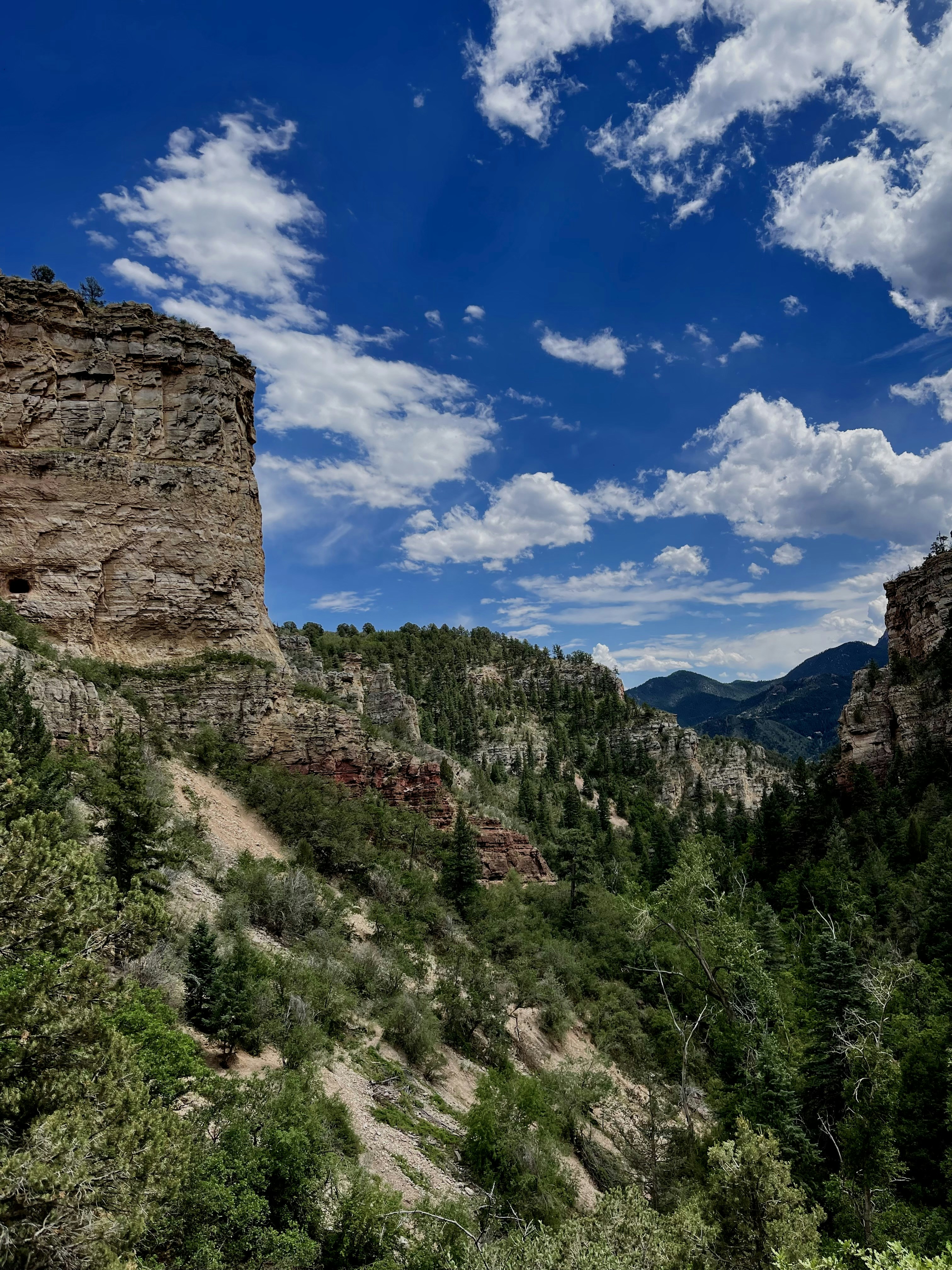 Photo by laitonbarbo