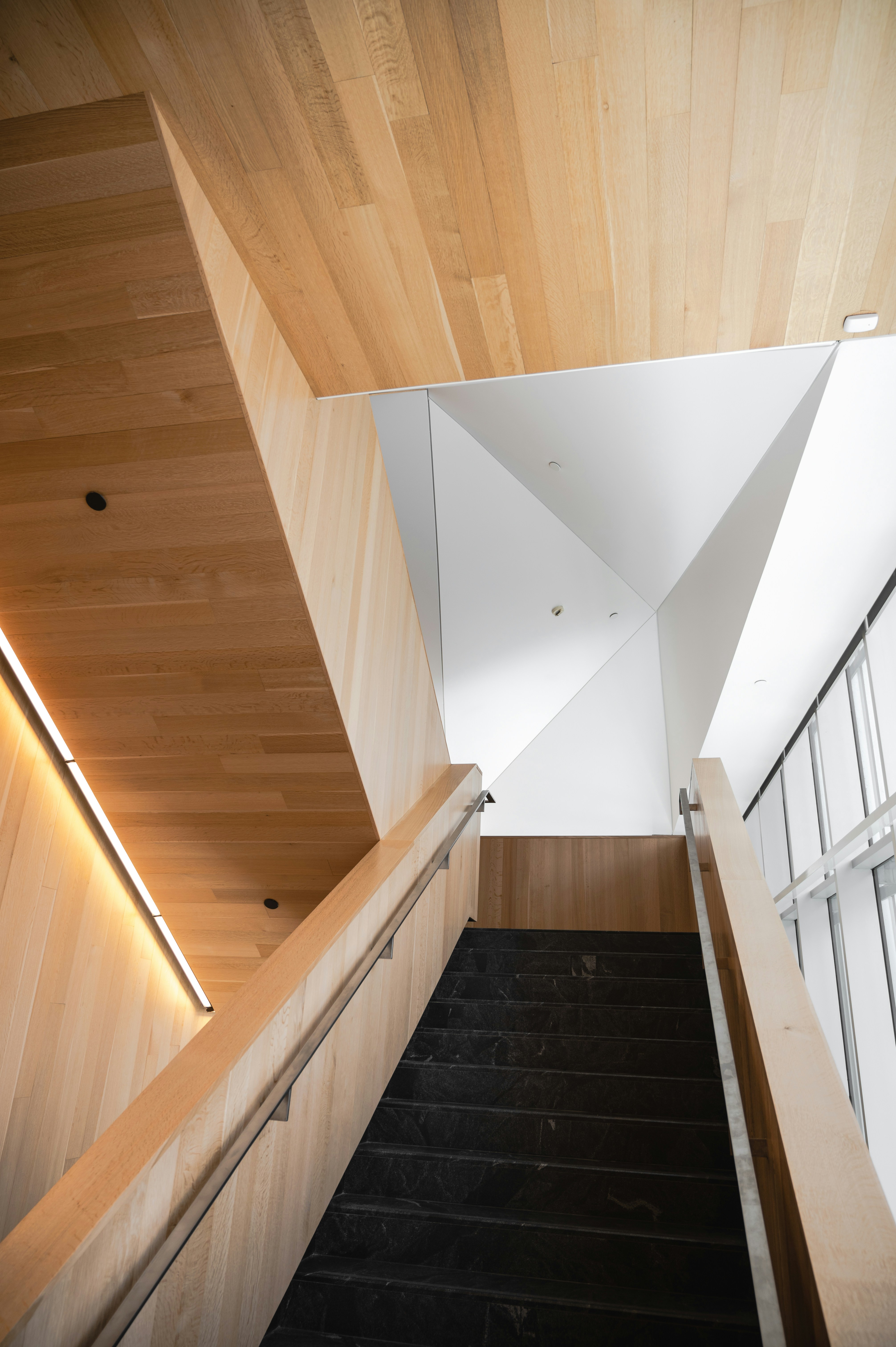 Photo by ryunosuke_kikuno