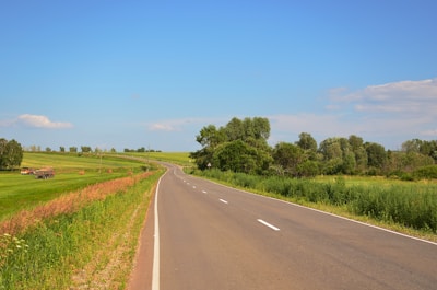 A serene blue sky stretches above a lush green landscape with a fleet of sleek biofuel-powered vehicles quietly moving along a winding road.