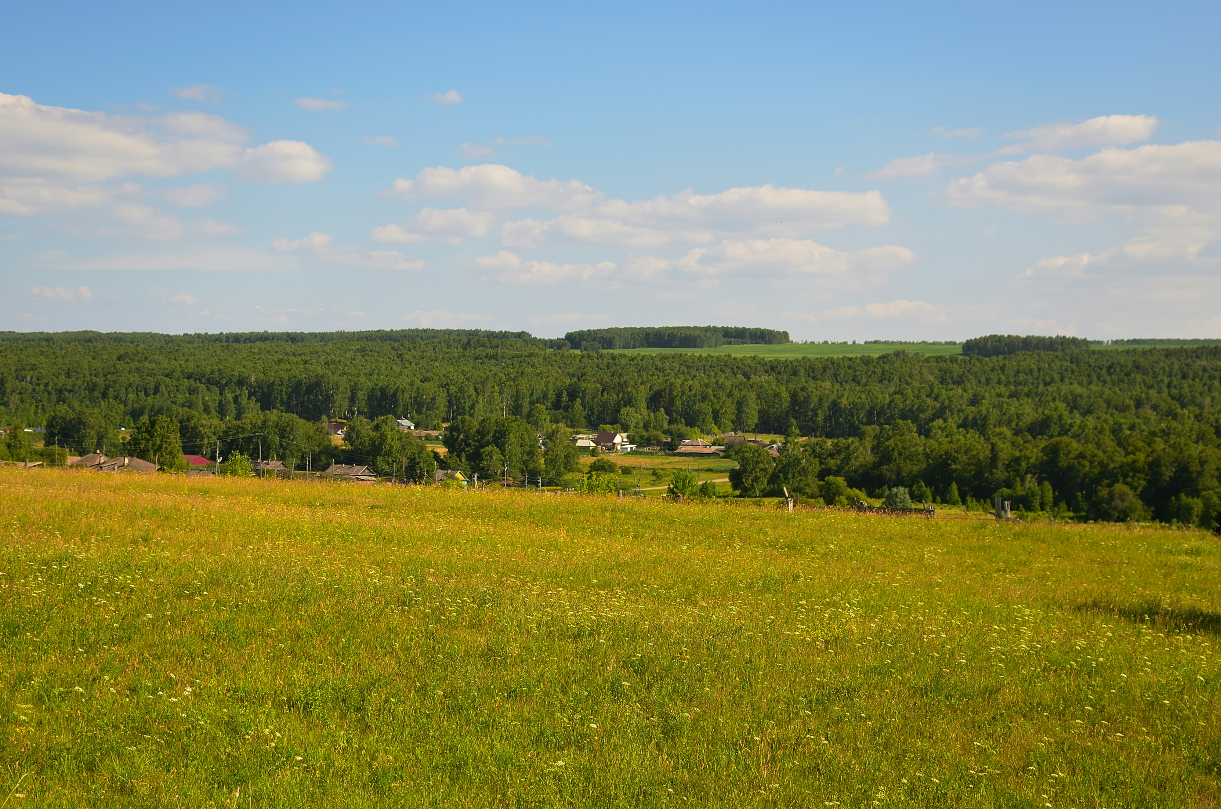 Investor Calls Failing? Your Pitch Might Not Be the Problem