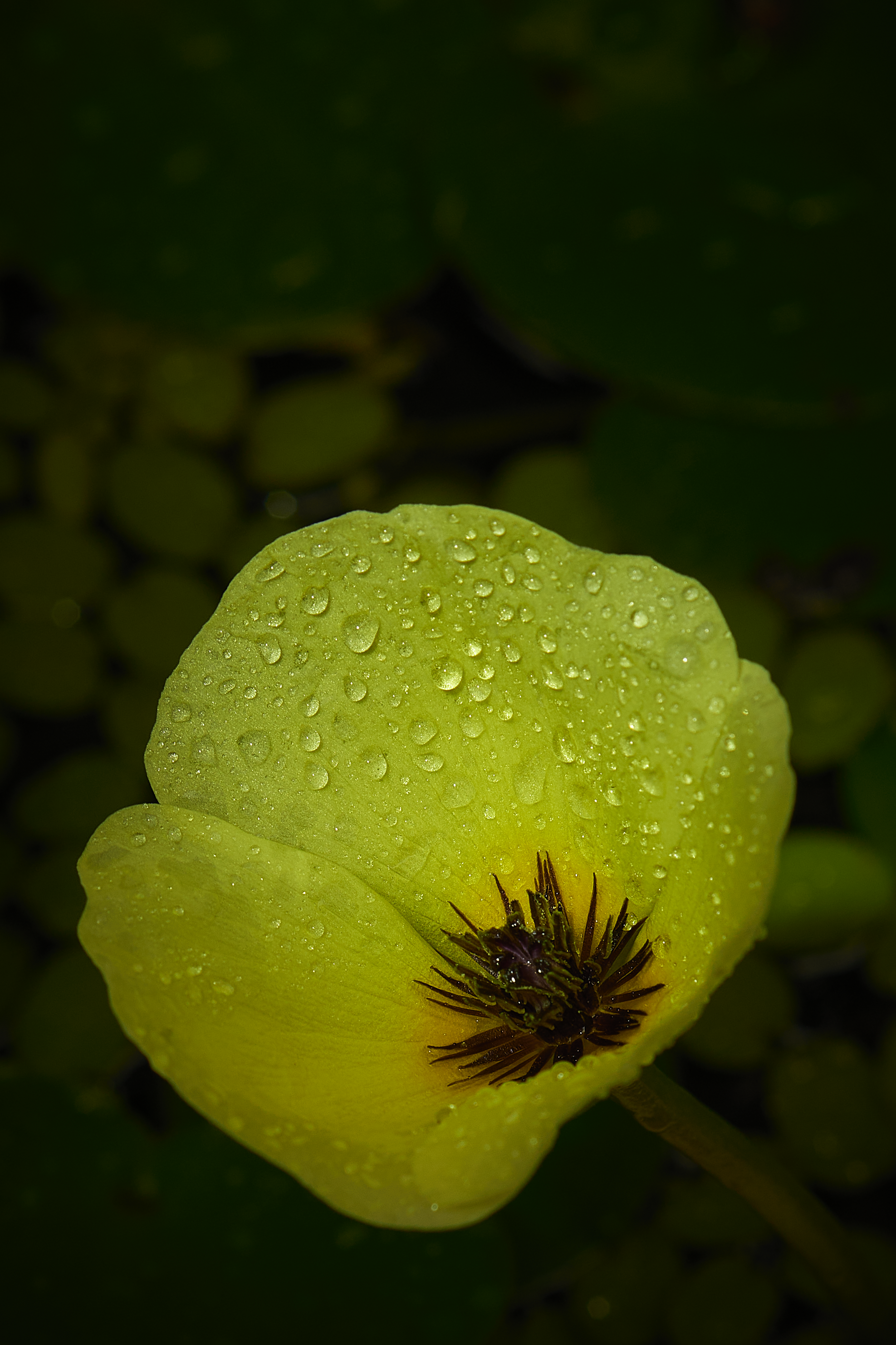 Photo by ctrleffive