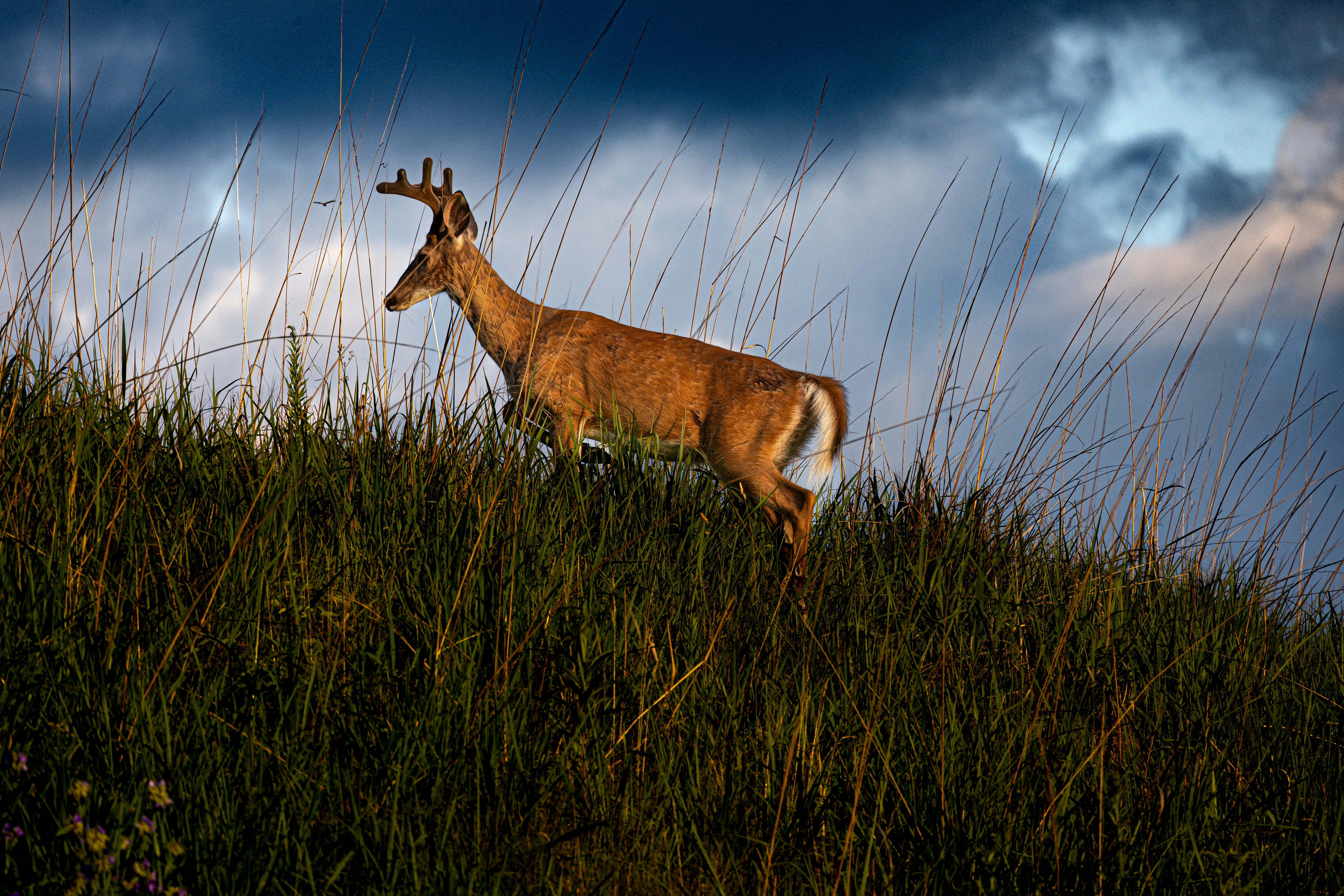 Photo by thatbeaaron